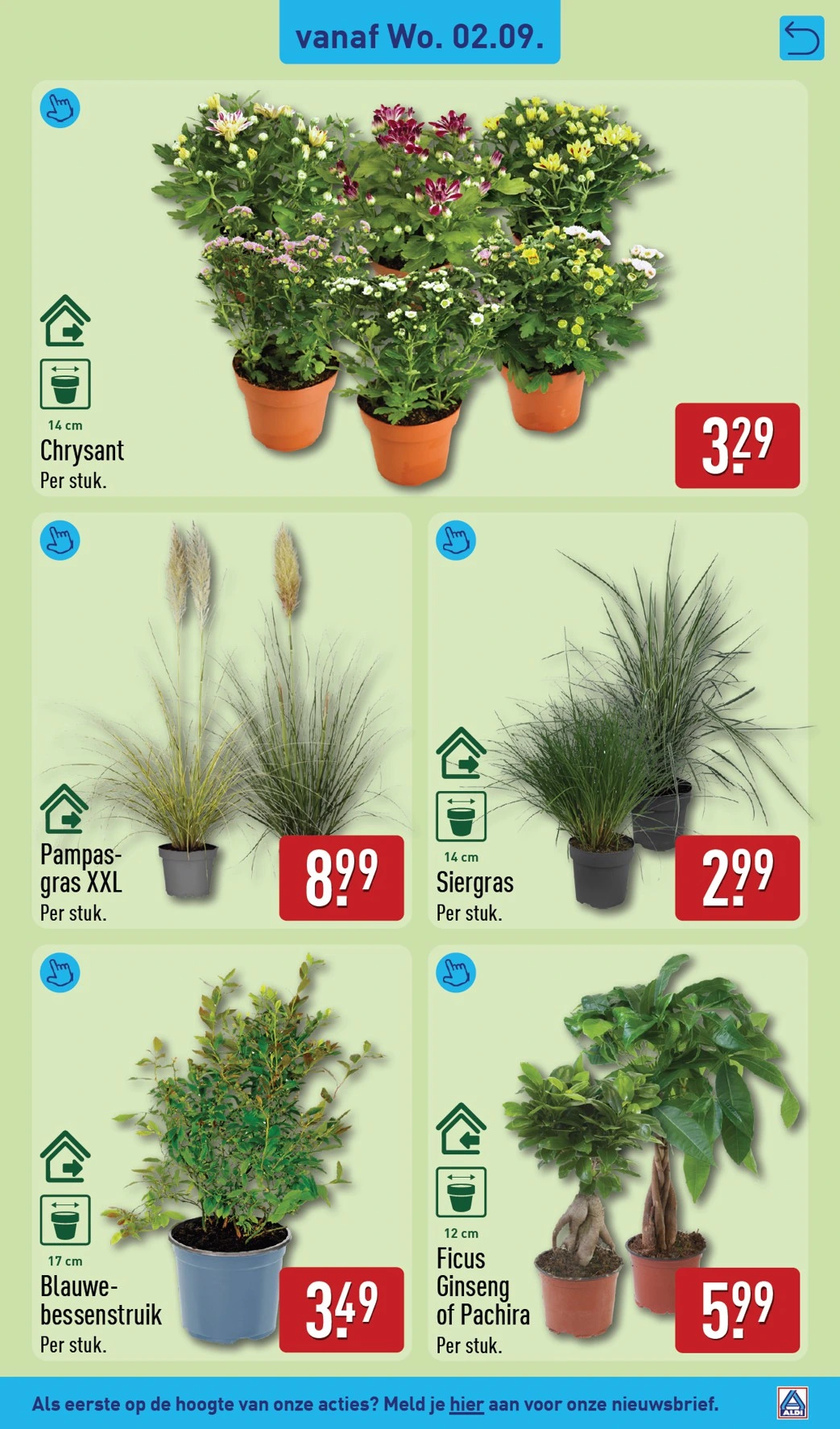 Flyer page 55