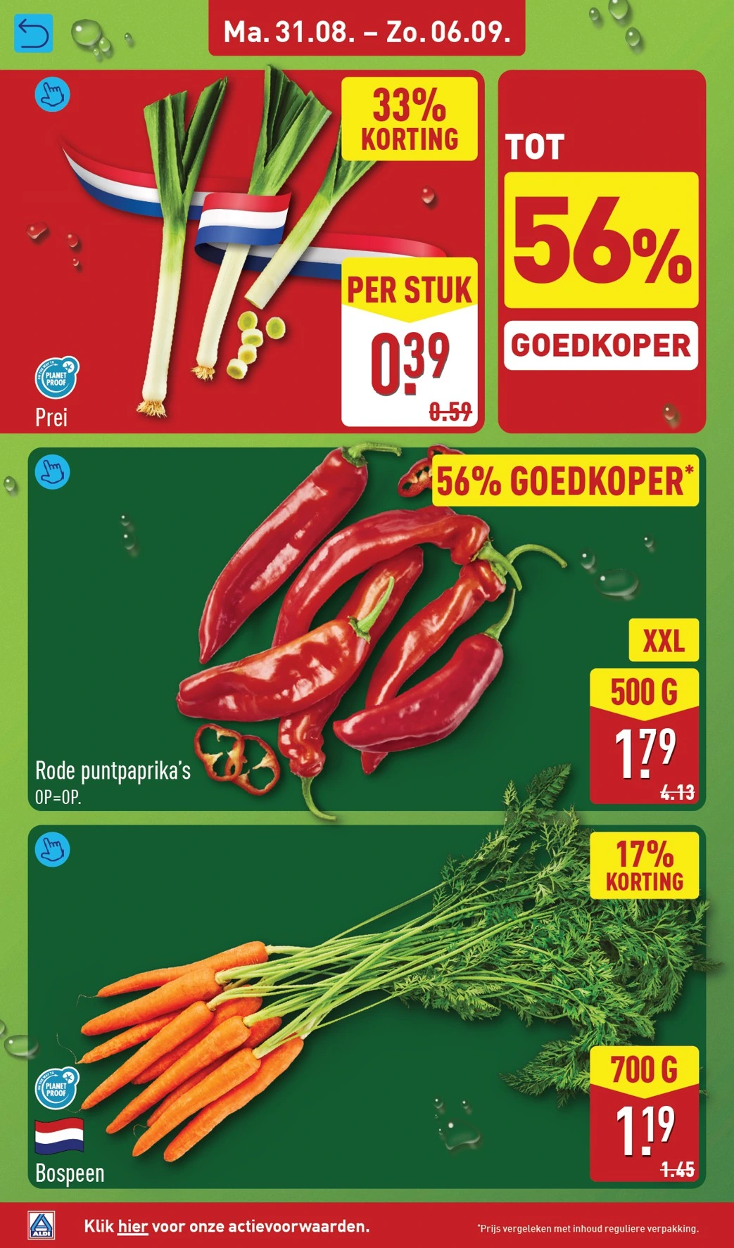 Flyer page 6