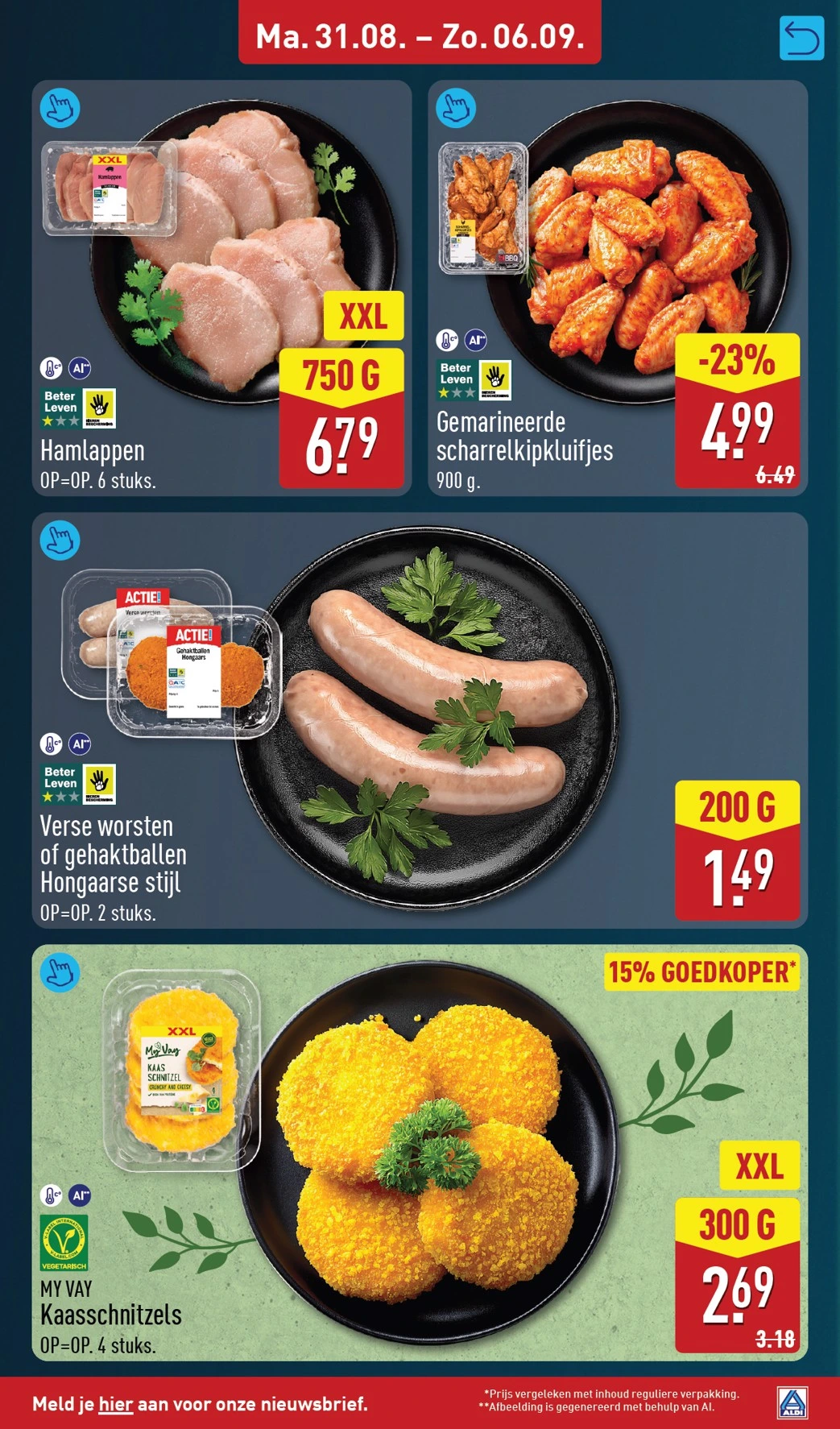 Flyer page 9