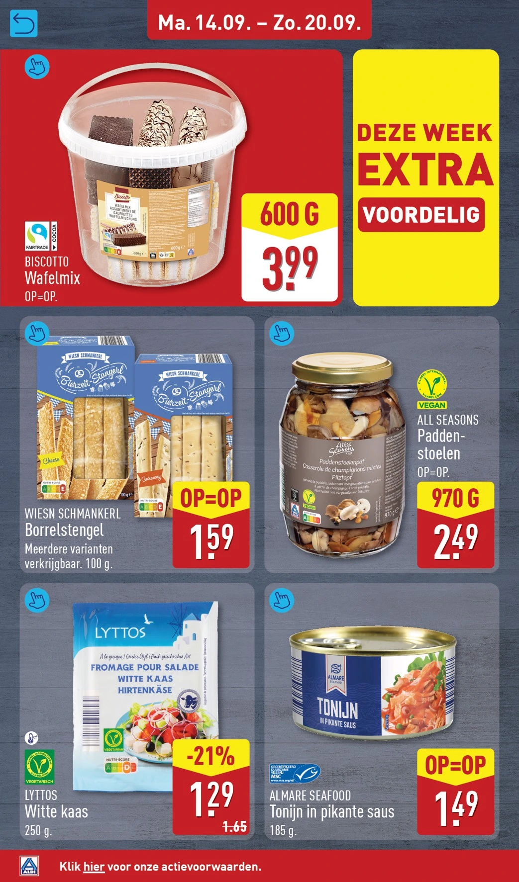 Flyer page 16