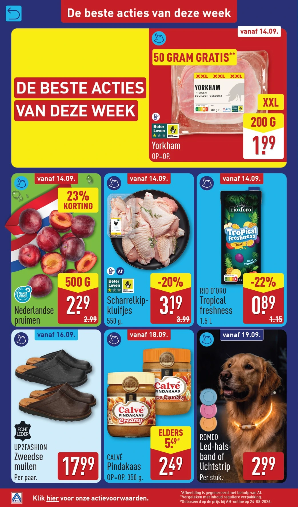 Flyer page 2