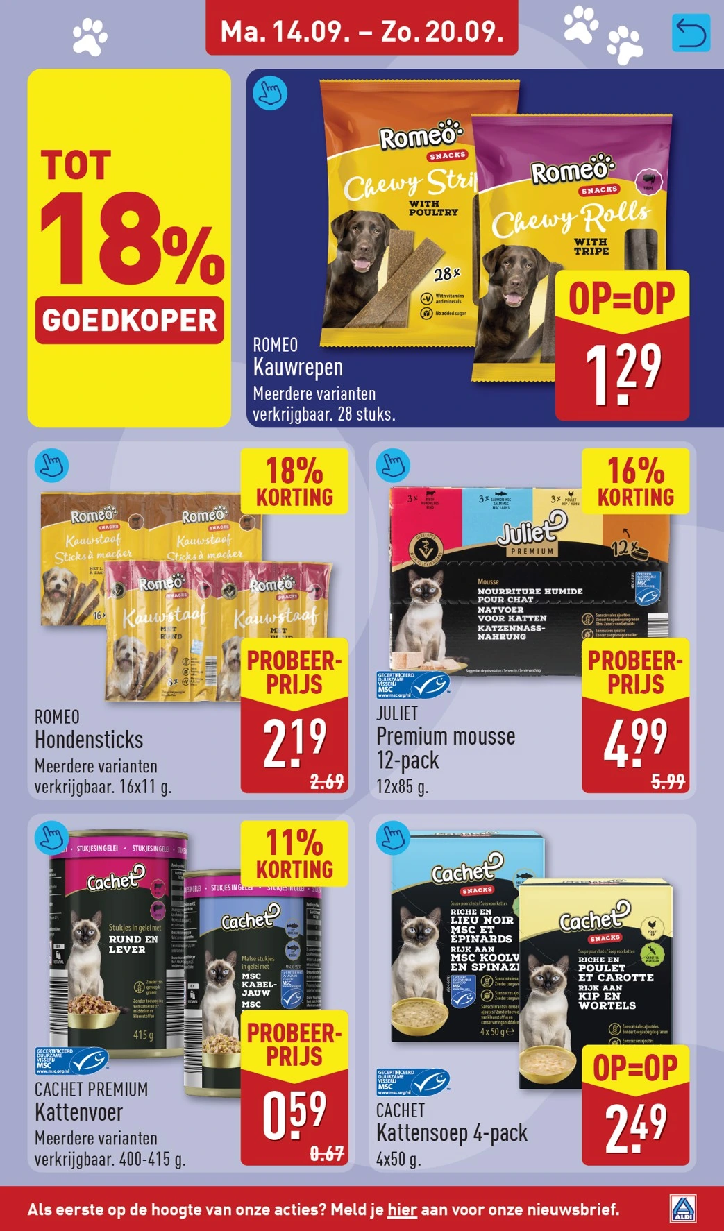 Flyer page 25