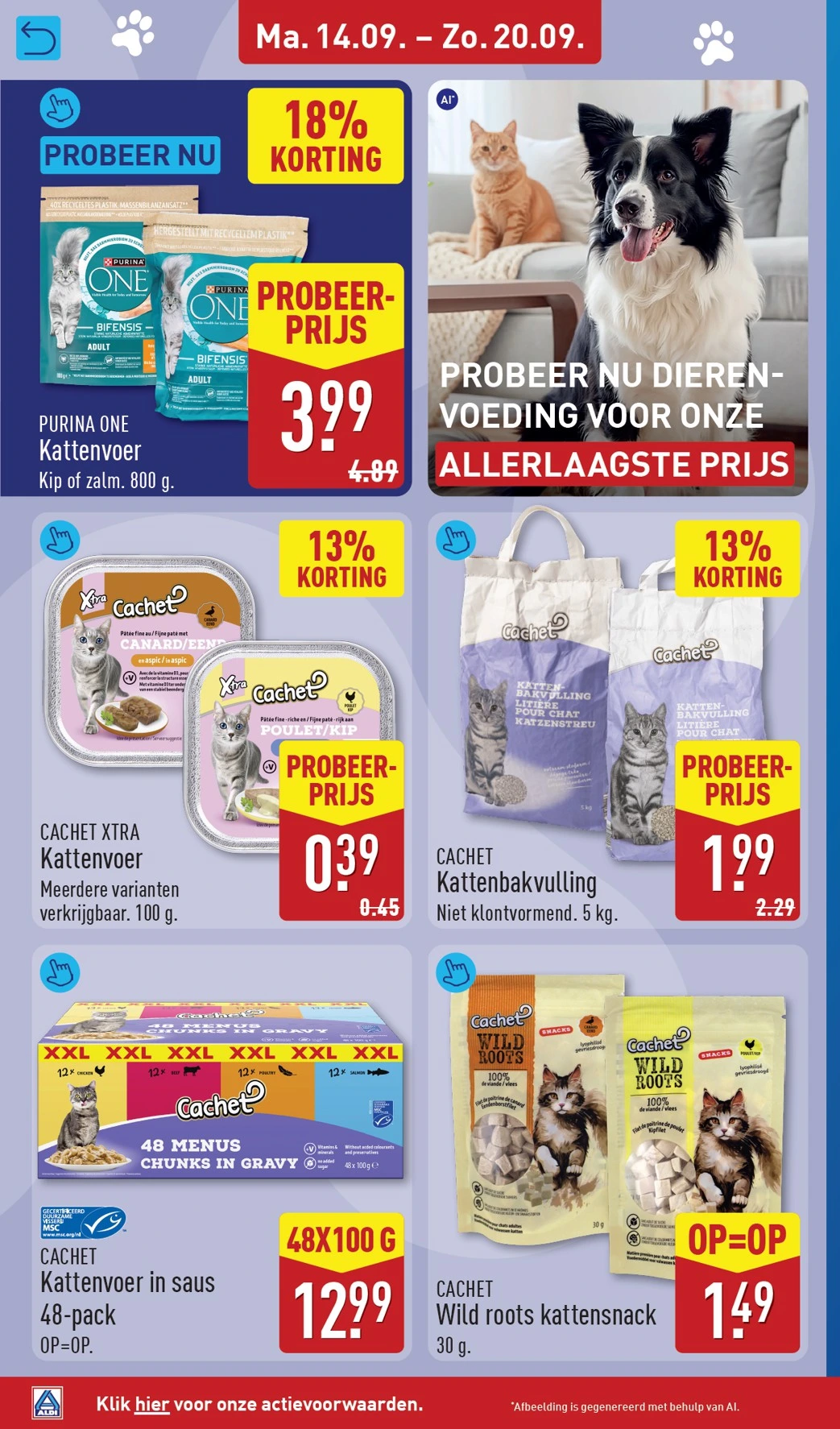 Flyer page 26