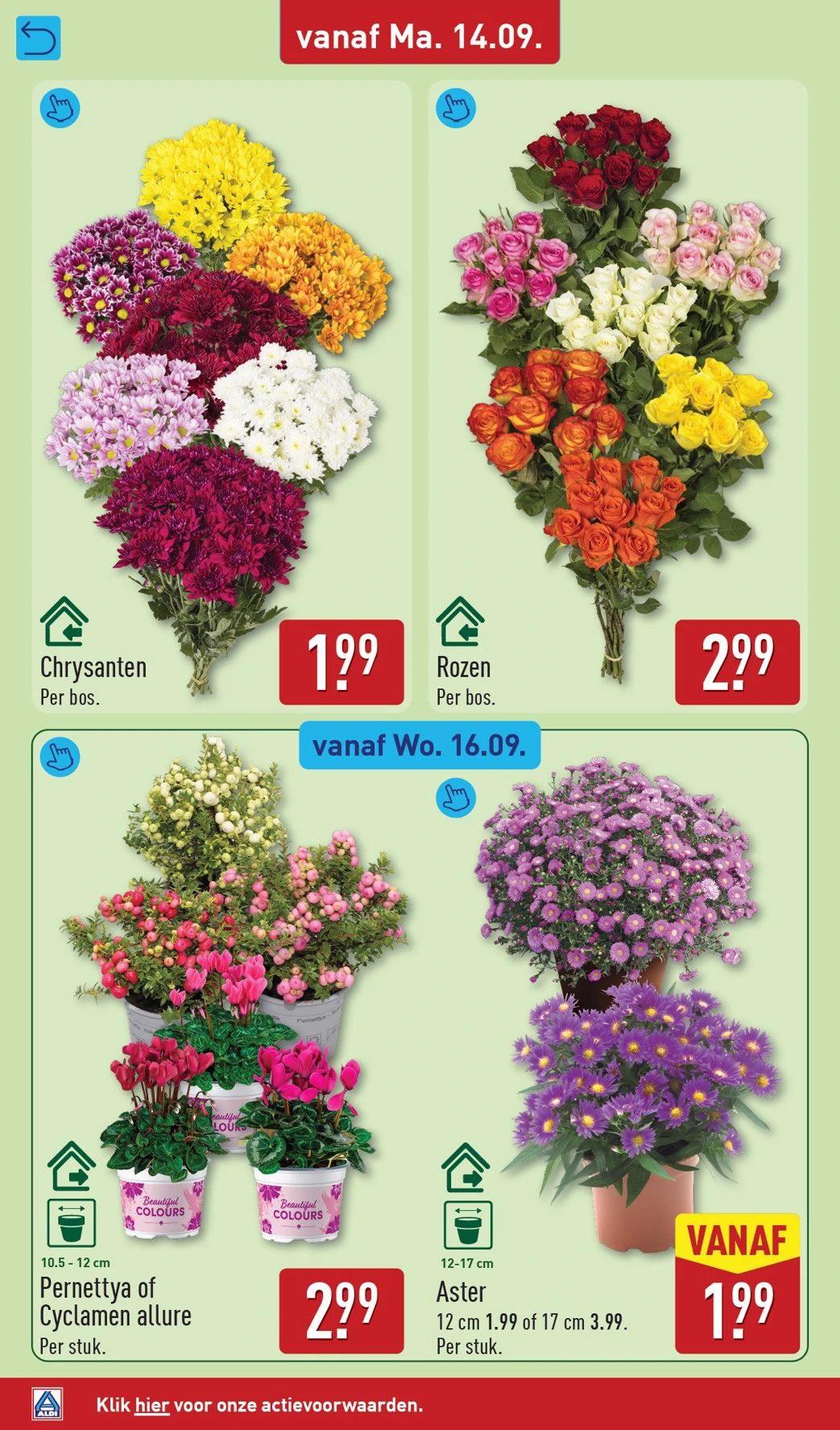 Flyer page 32