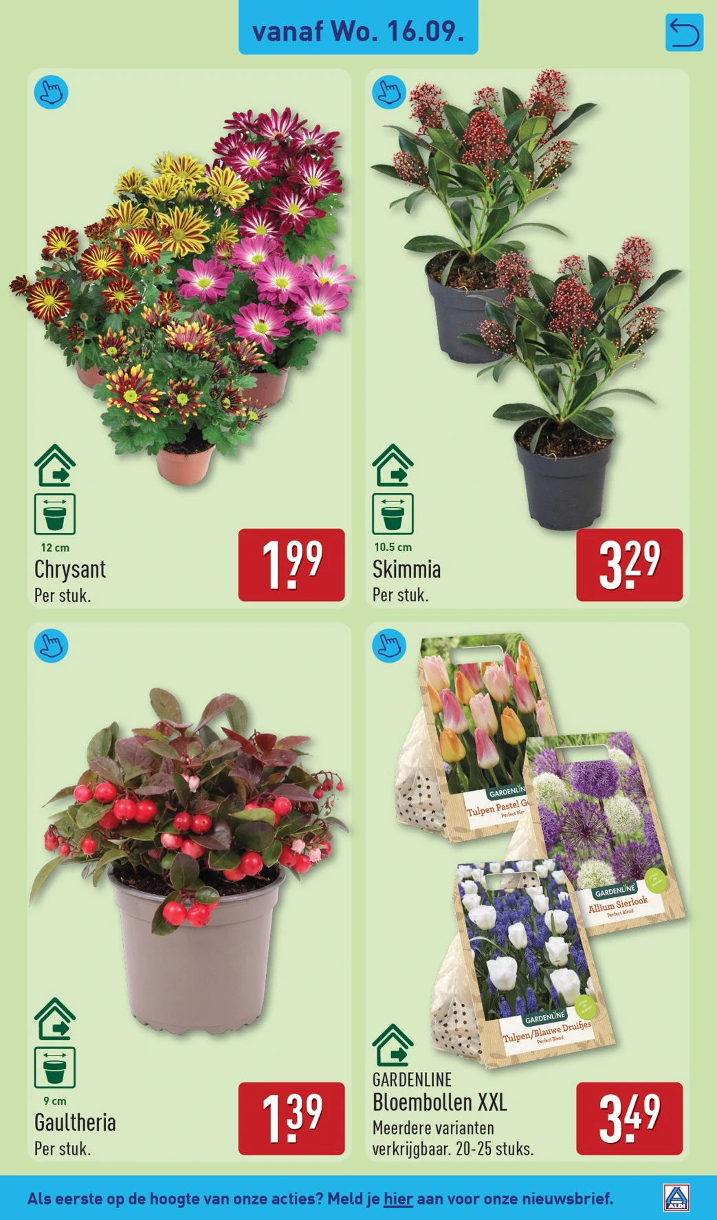 Flyer page 33