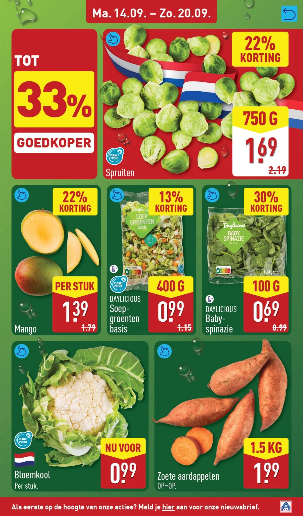 Flyer page 5