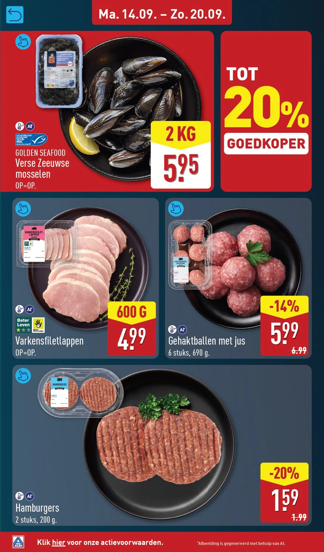 Flyer page 6