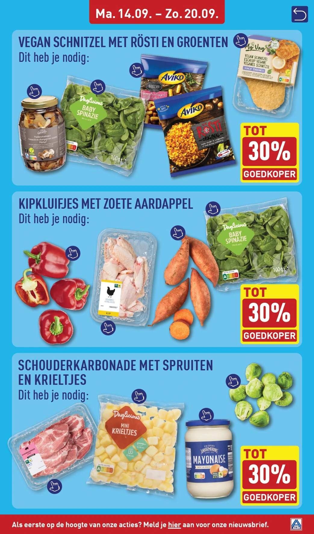 Flyer page 9