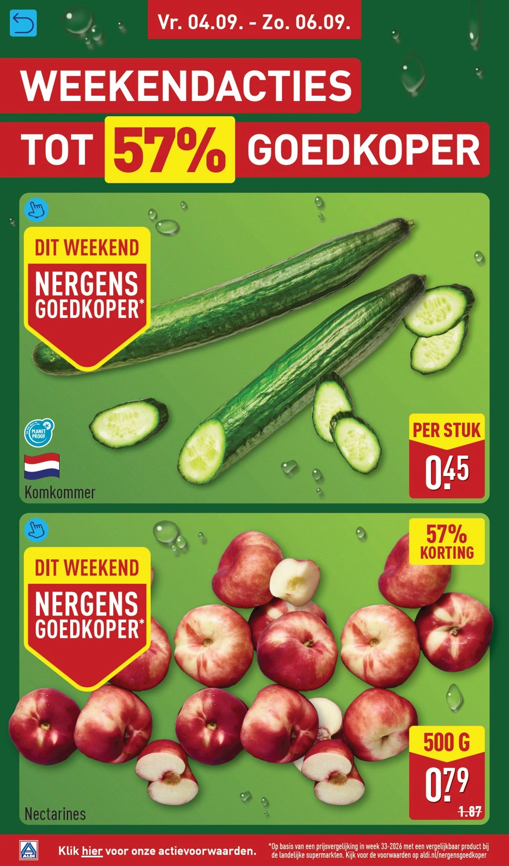 Flyer page 20