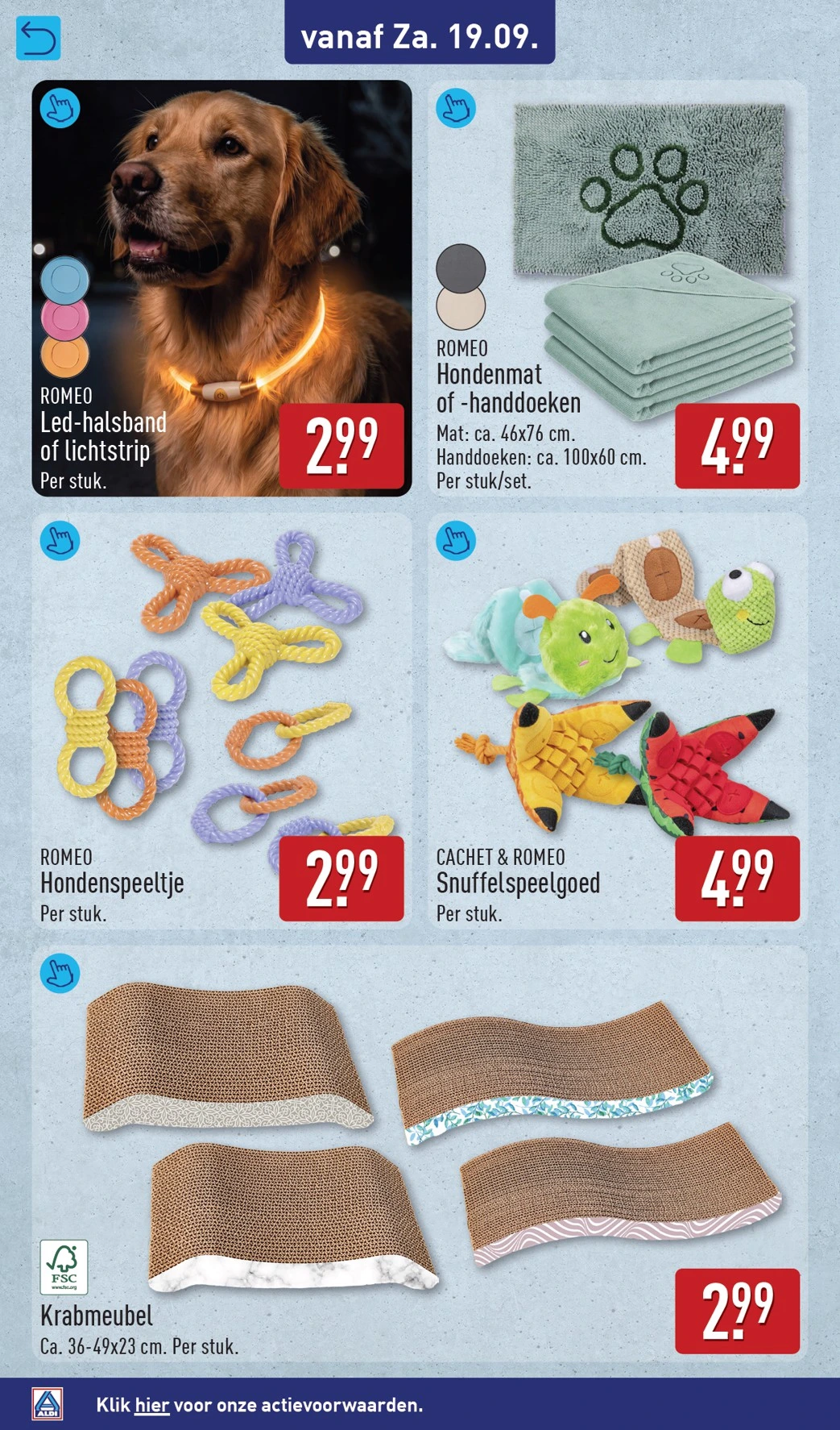 Flyer page 10