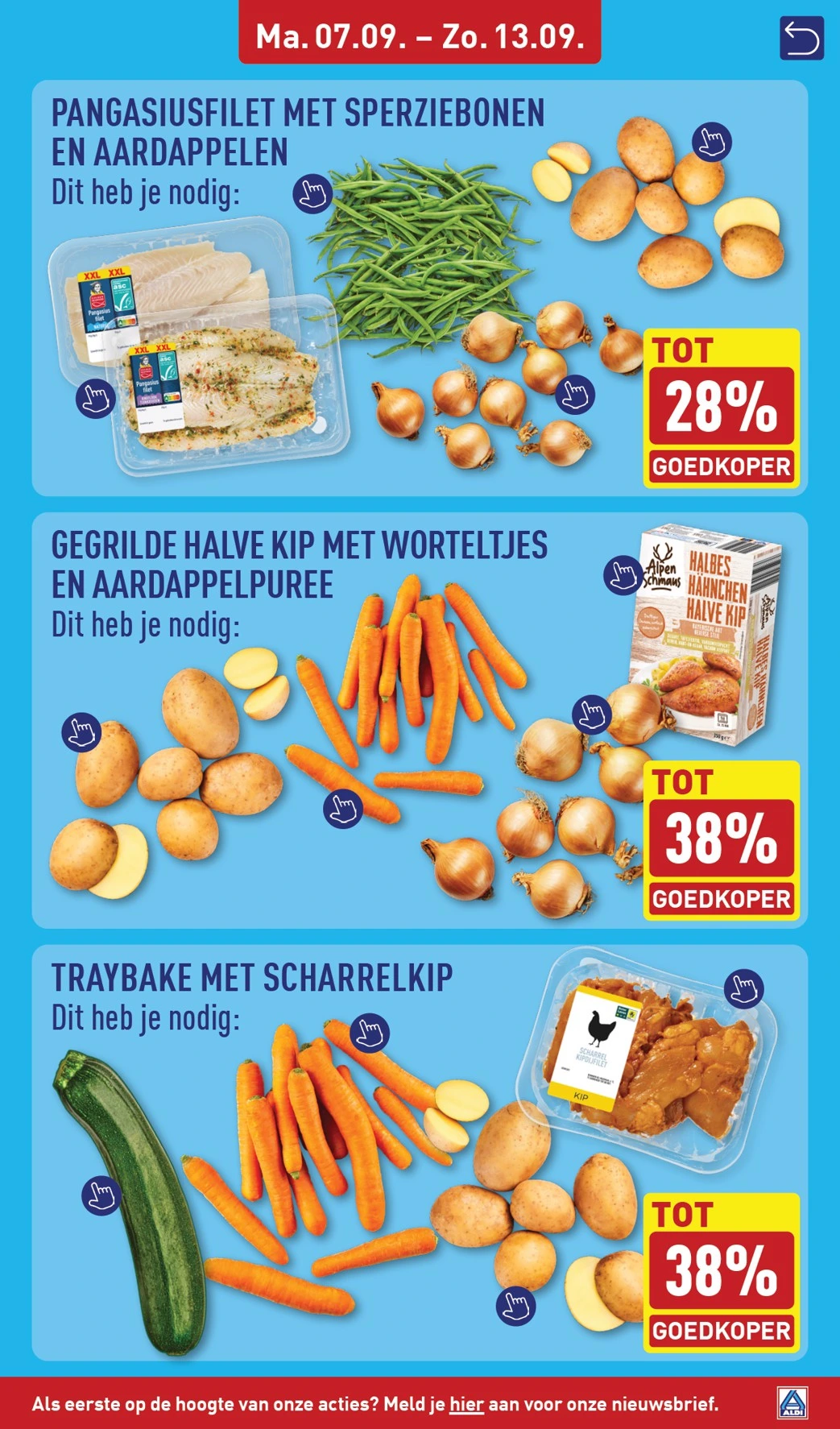 Flyer page 11