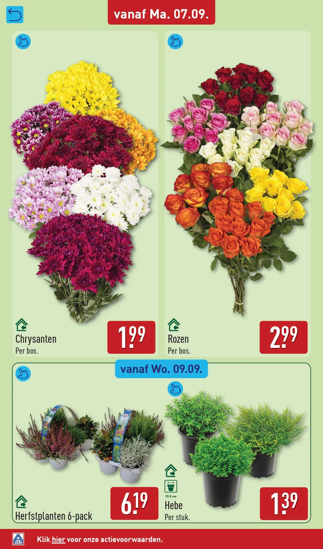 Flyer page 34