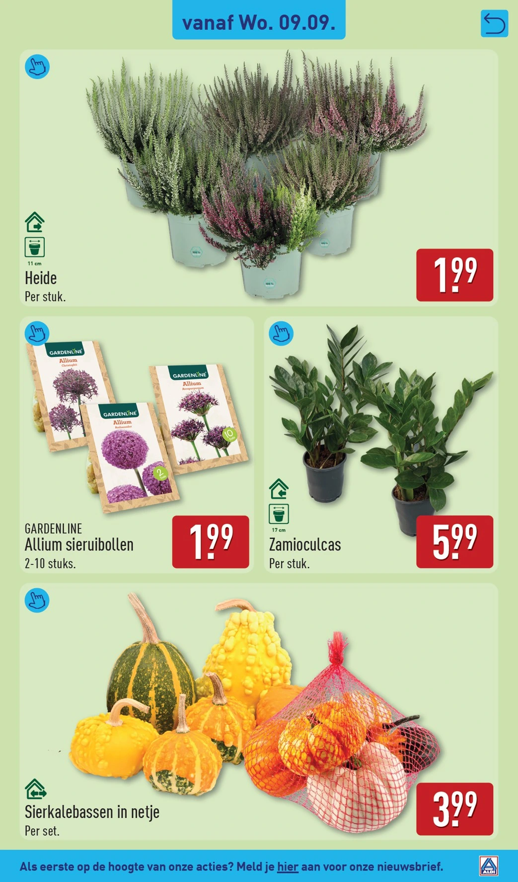 Flyer page 35