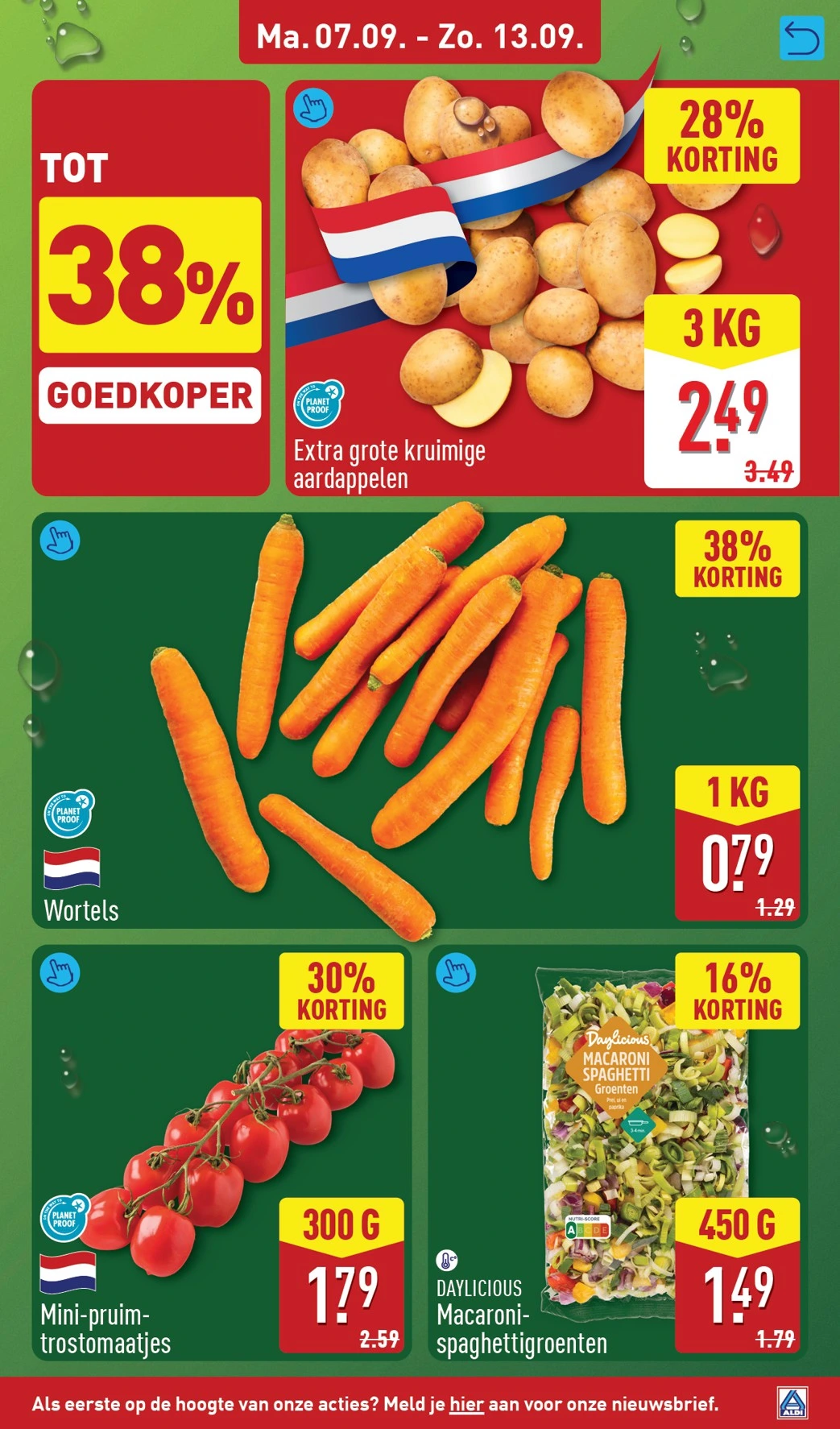 Flyer page 7