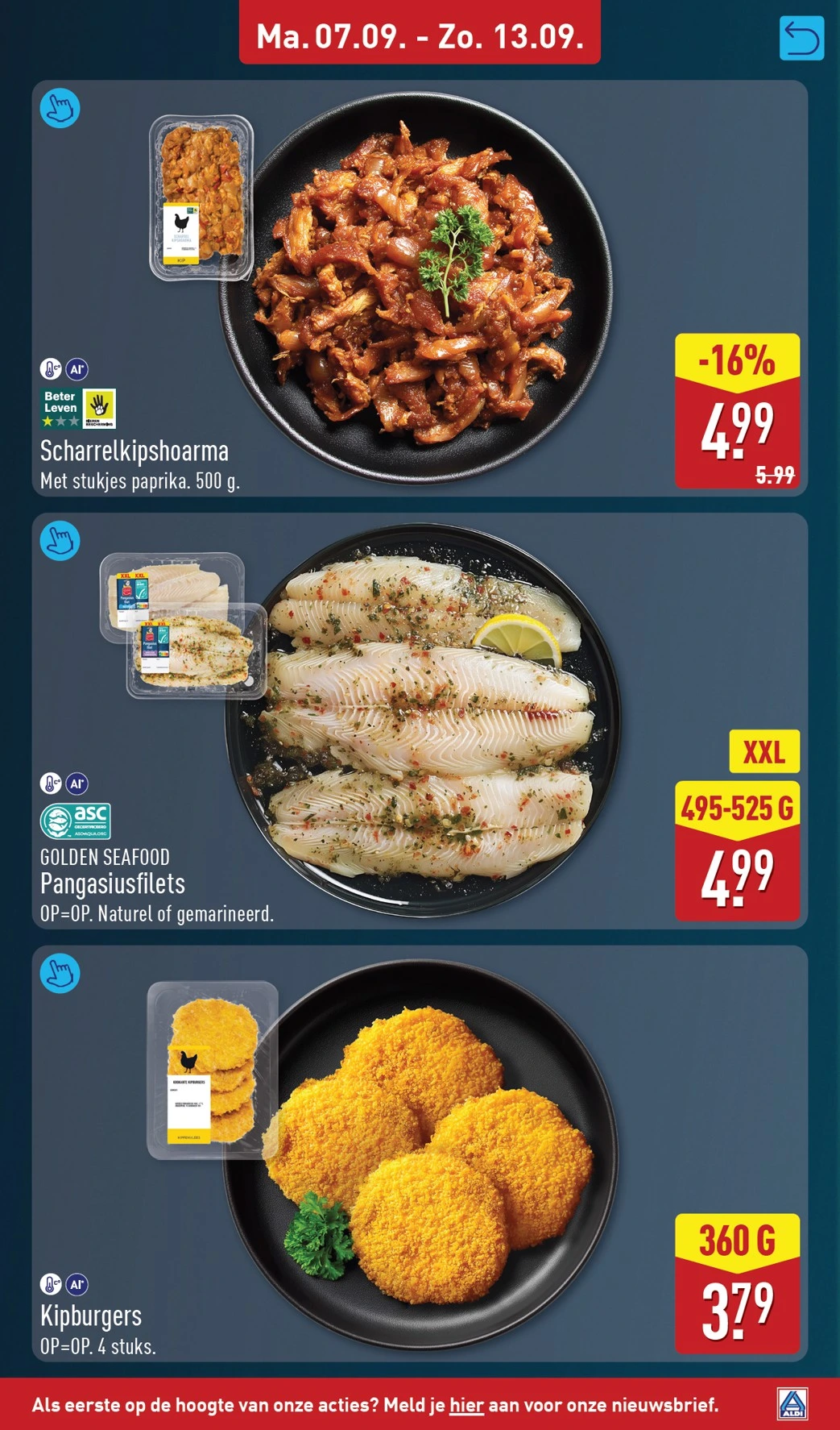 Flyer page 9
