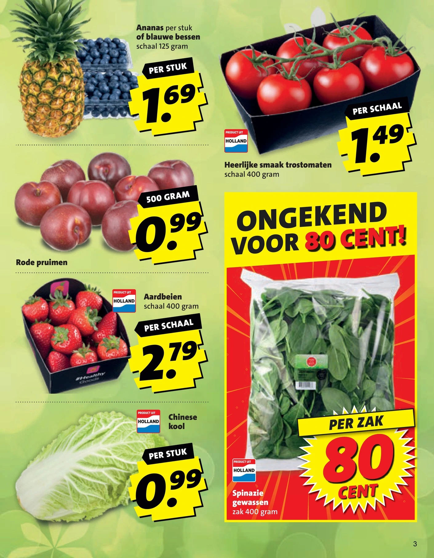 Flyer page 3