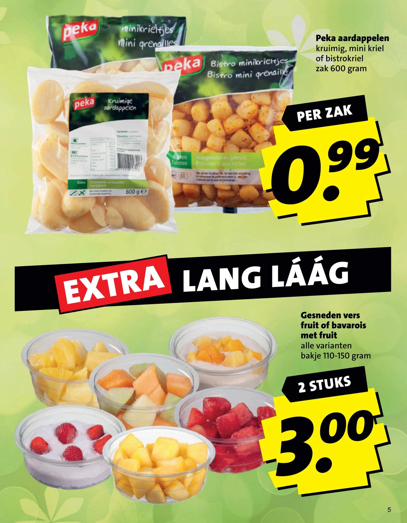 Flyer page 5