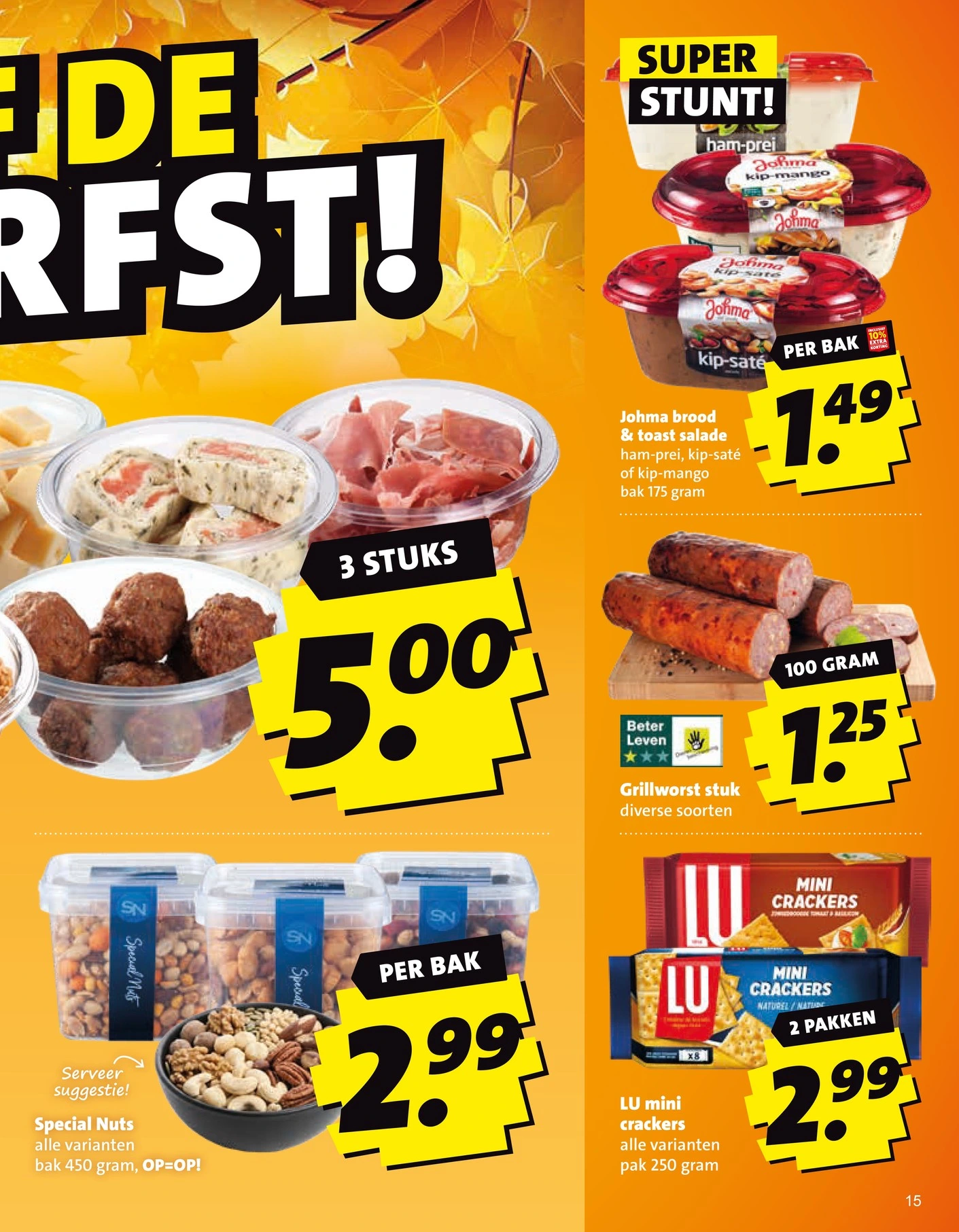 Flyer page 15