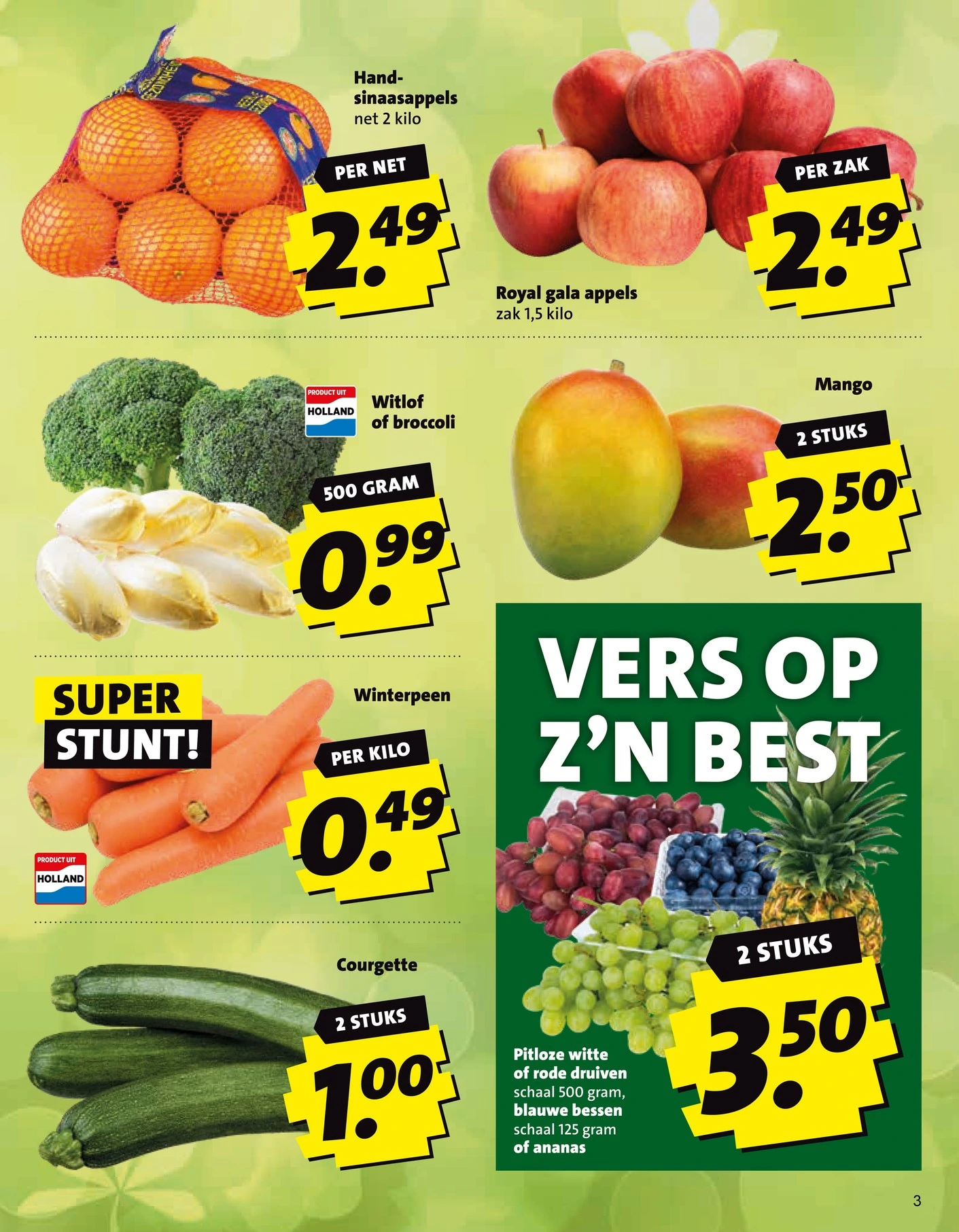 Flyer page 3