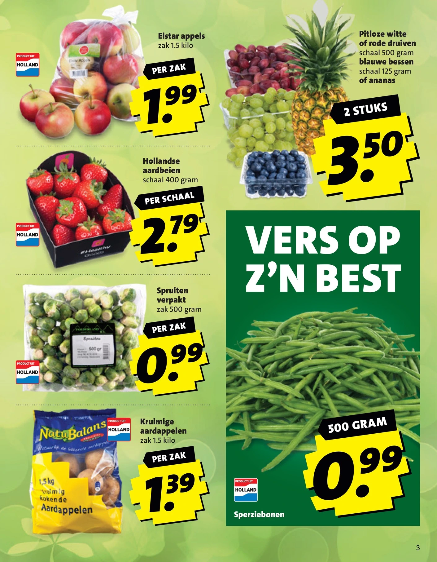 Flyer page 3