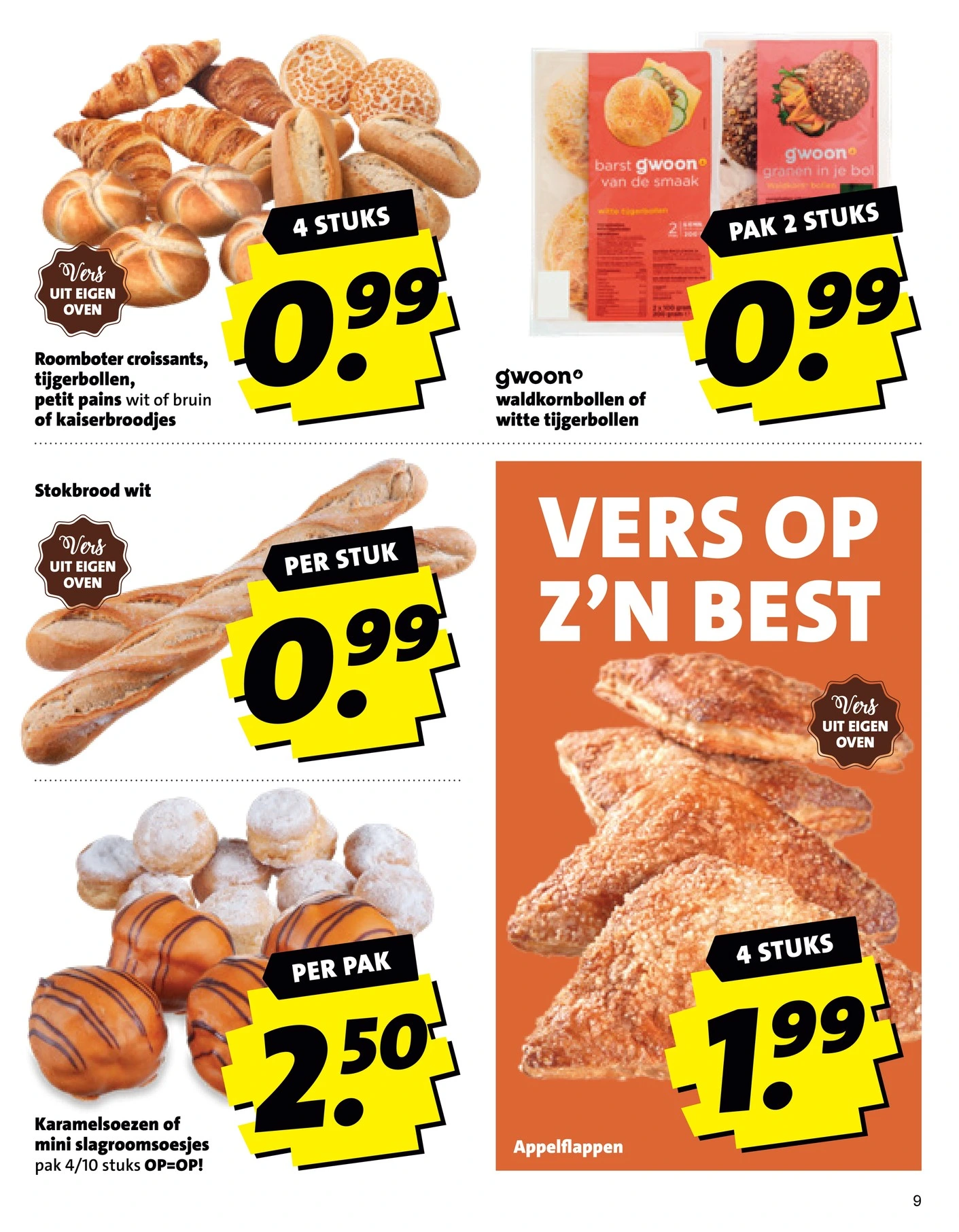 Flyer page 9
