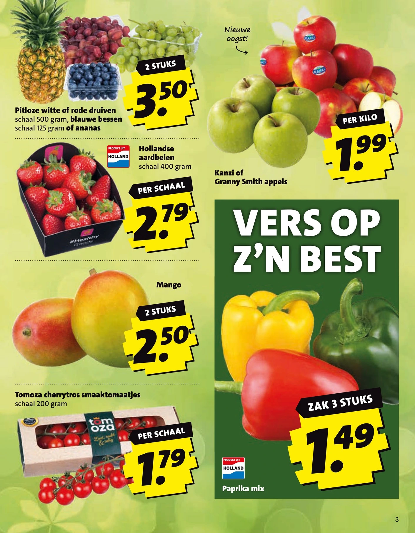 Flyer page 3