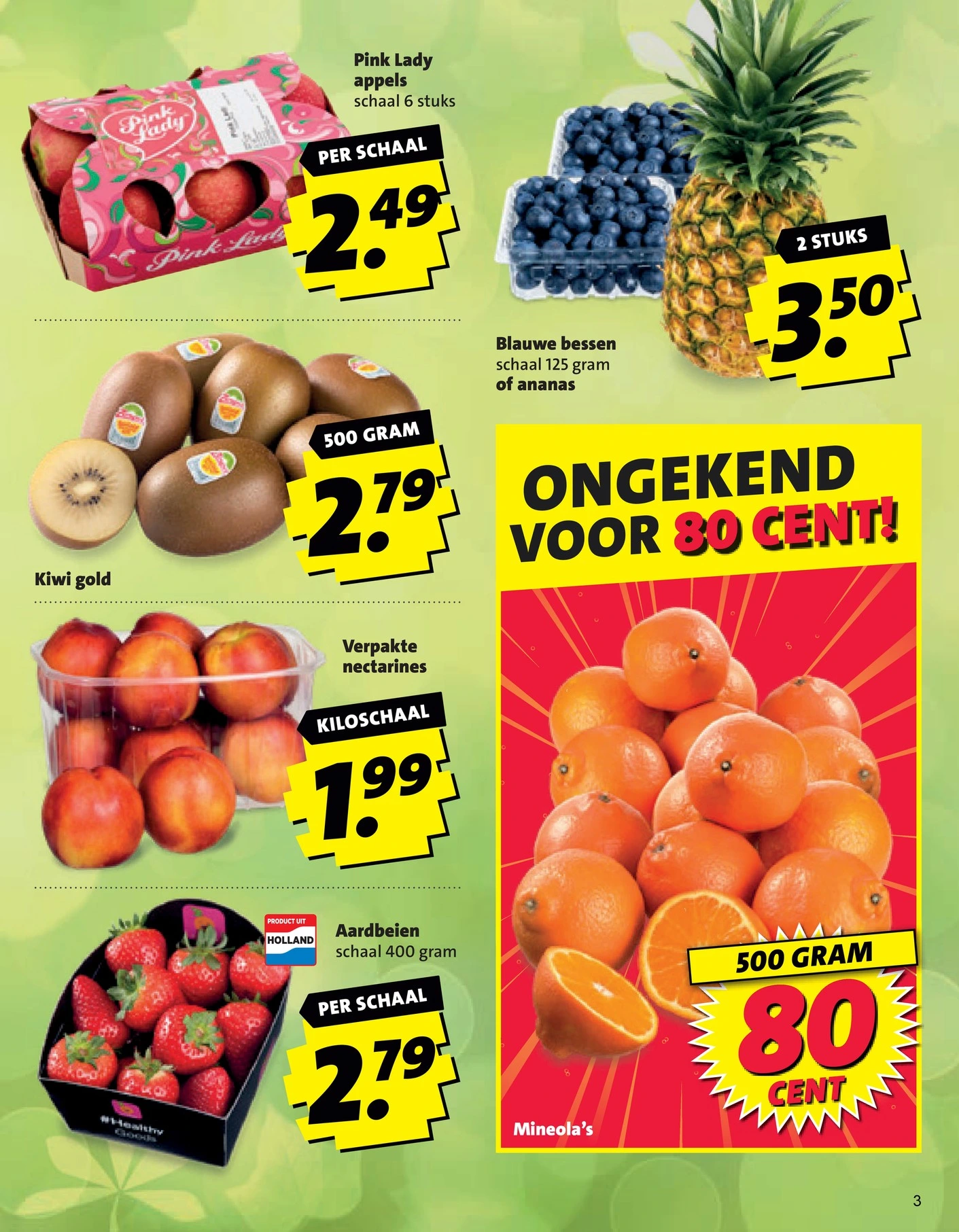 Flyer page 3