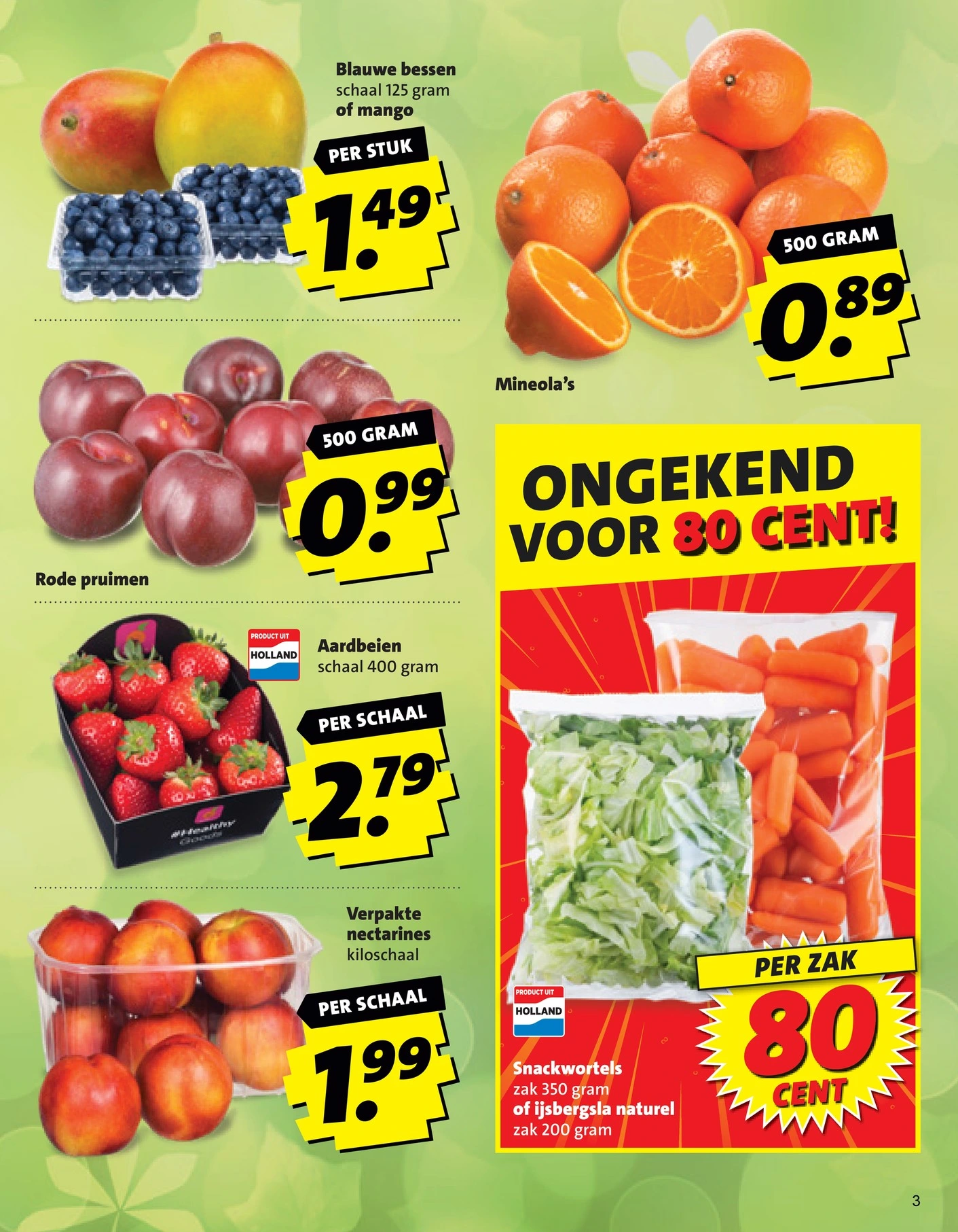 Flyer page 3