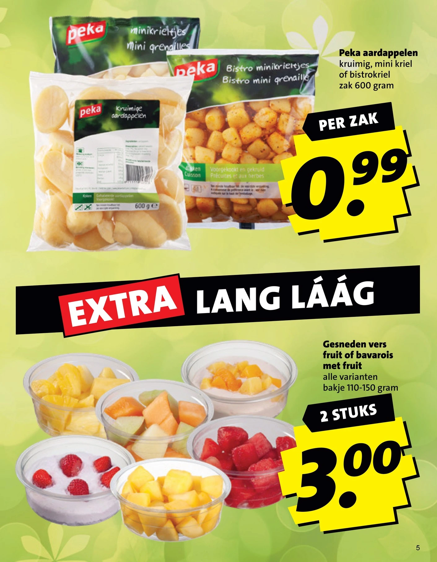 Flyer page 5