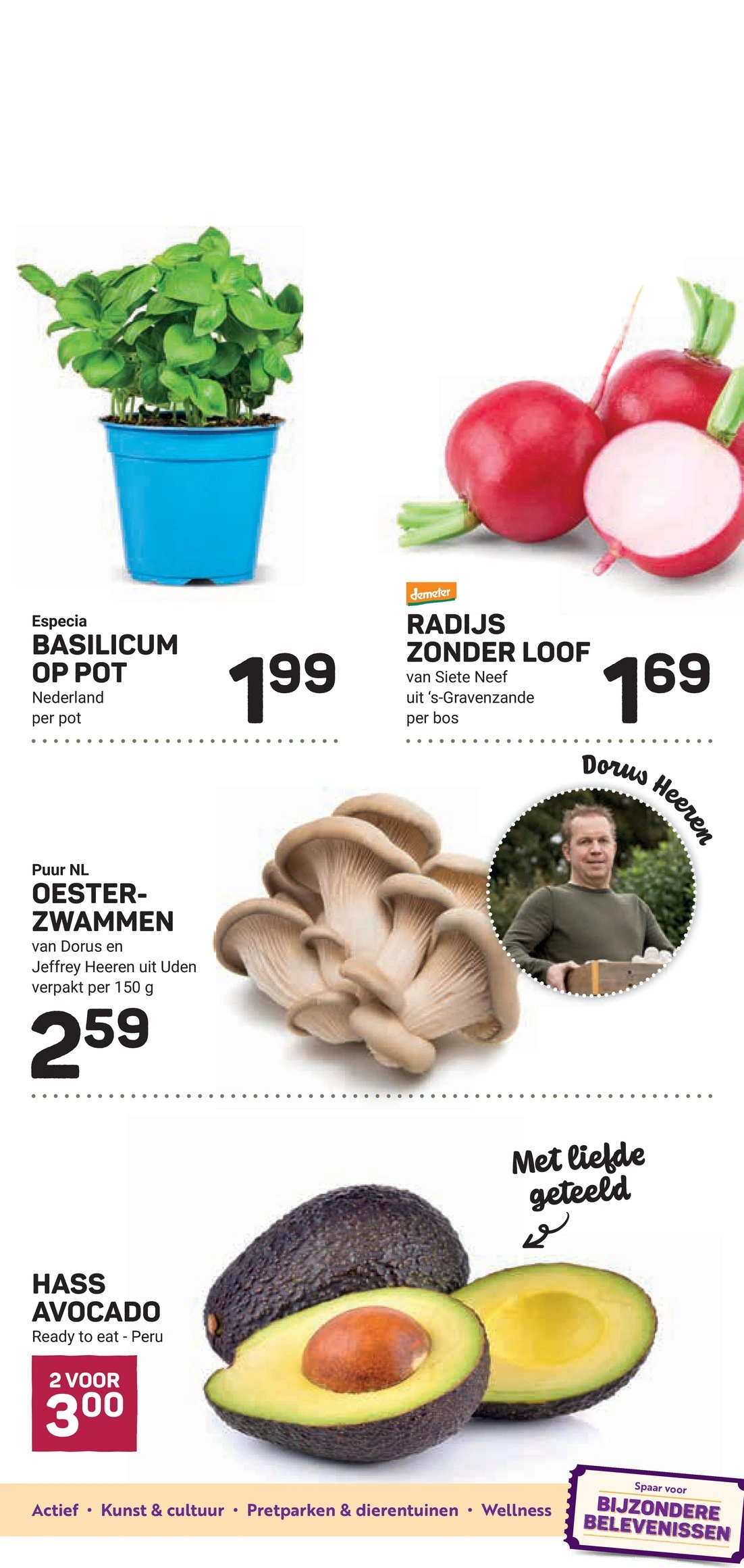 Flyer page 11