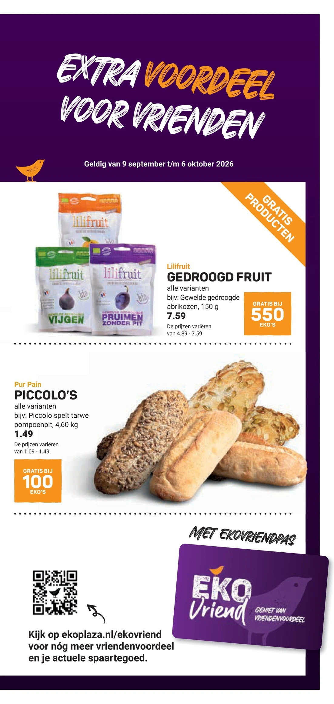 Flyer page 19