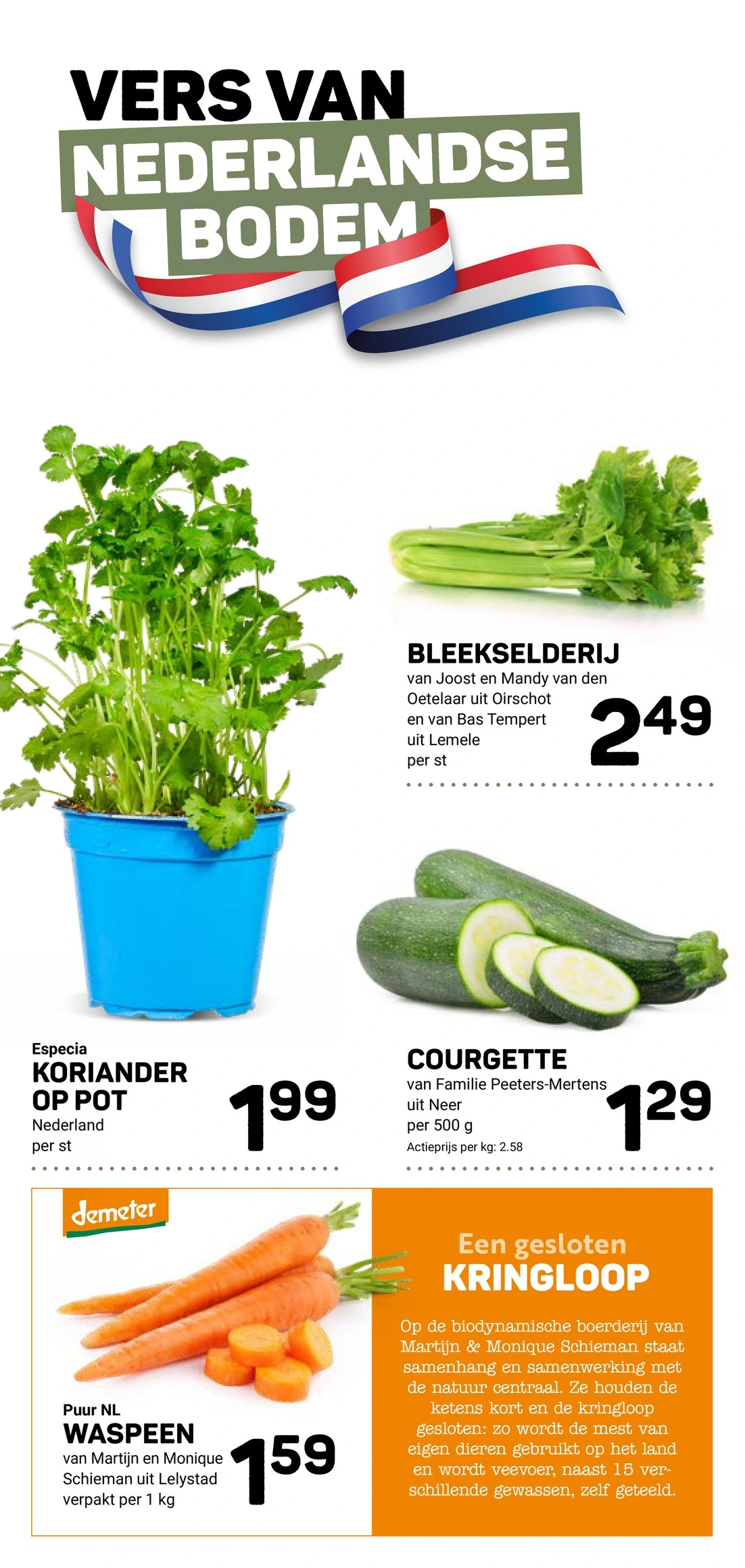Flyer page 10