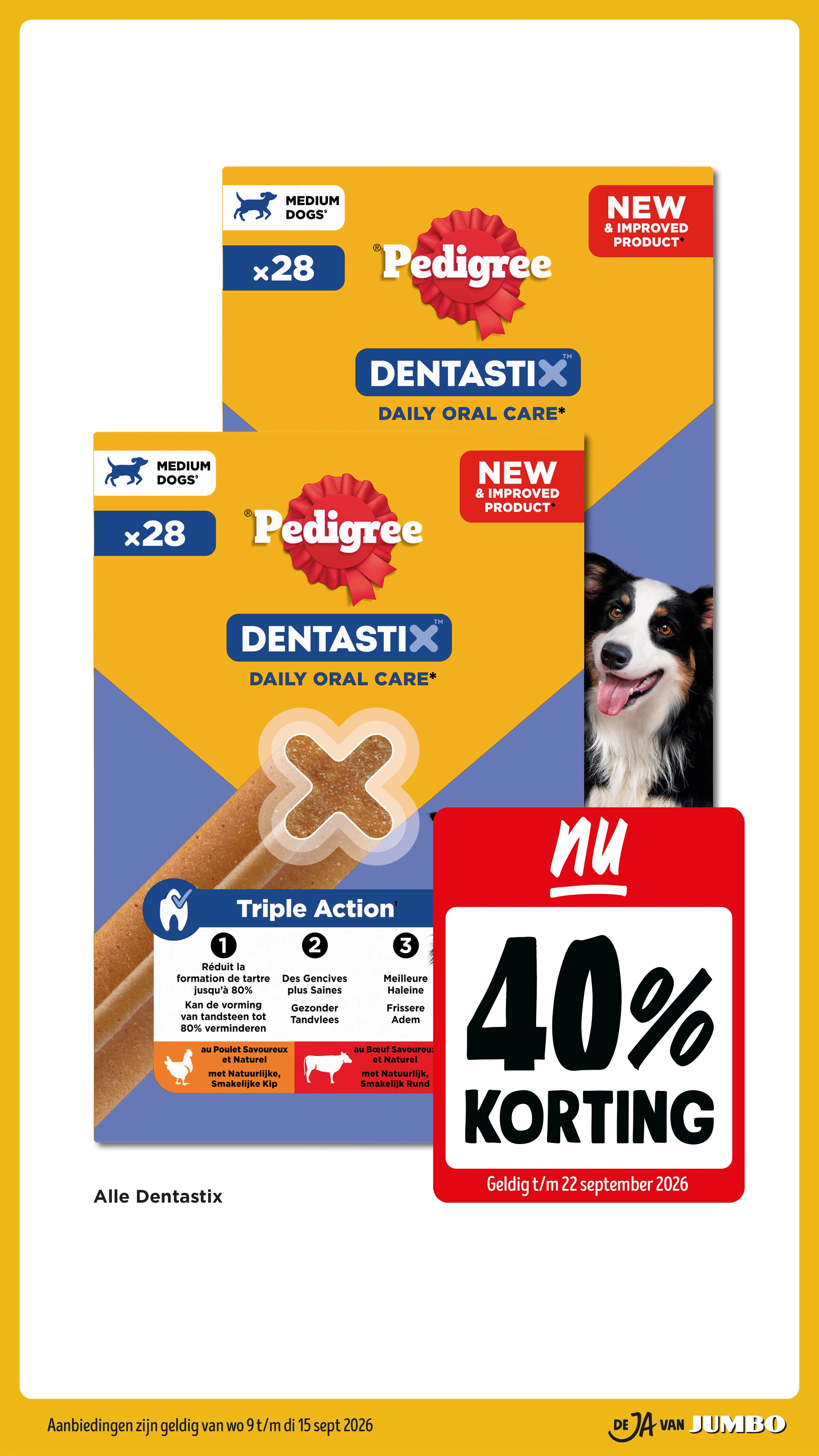Flyer page 56