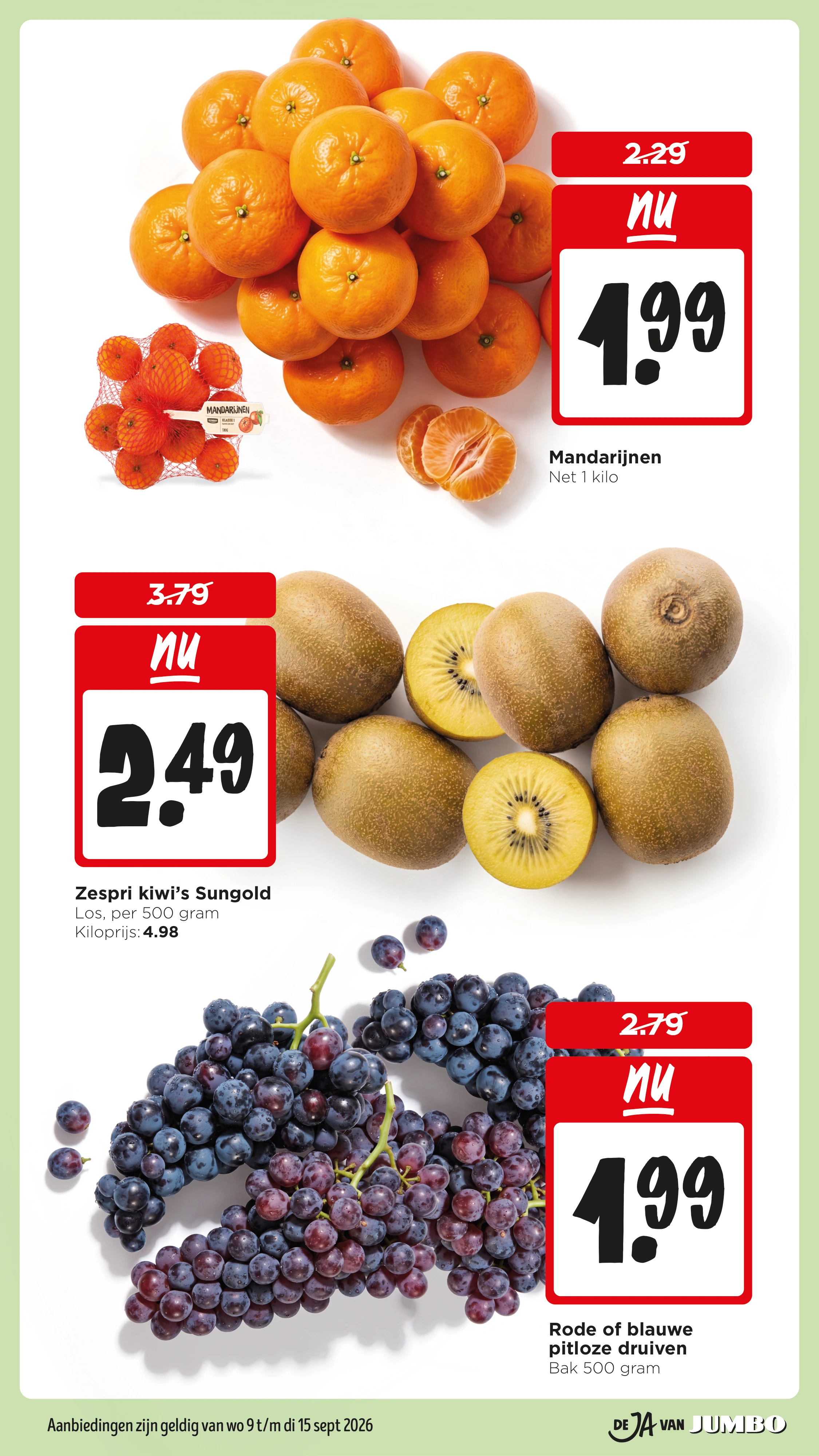 Flyer page 7
