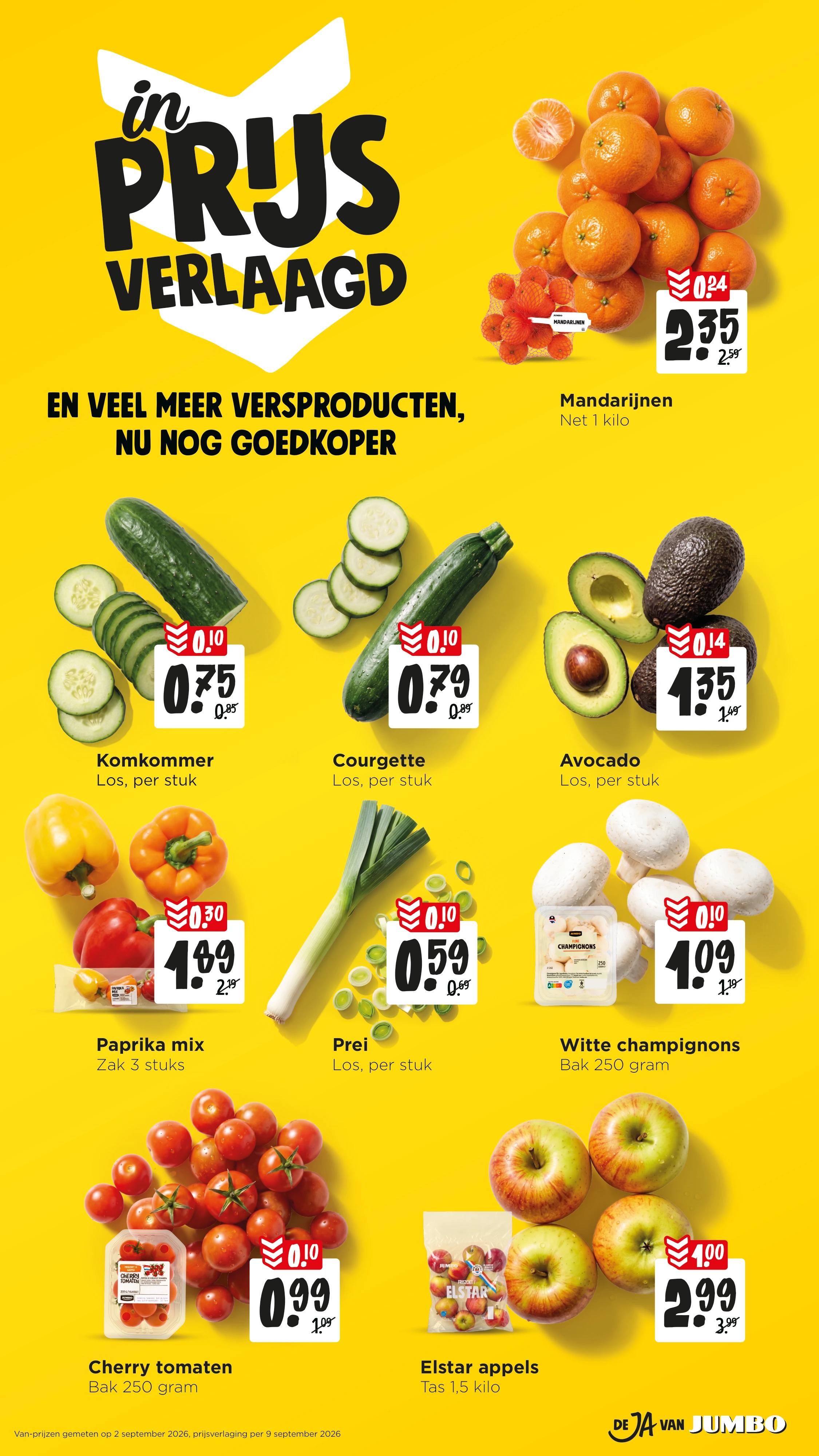 Flyer page 11