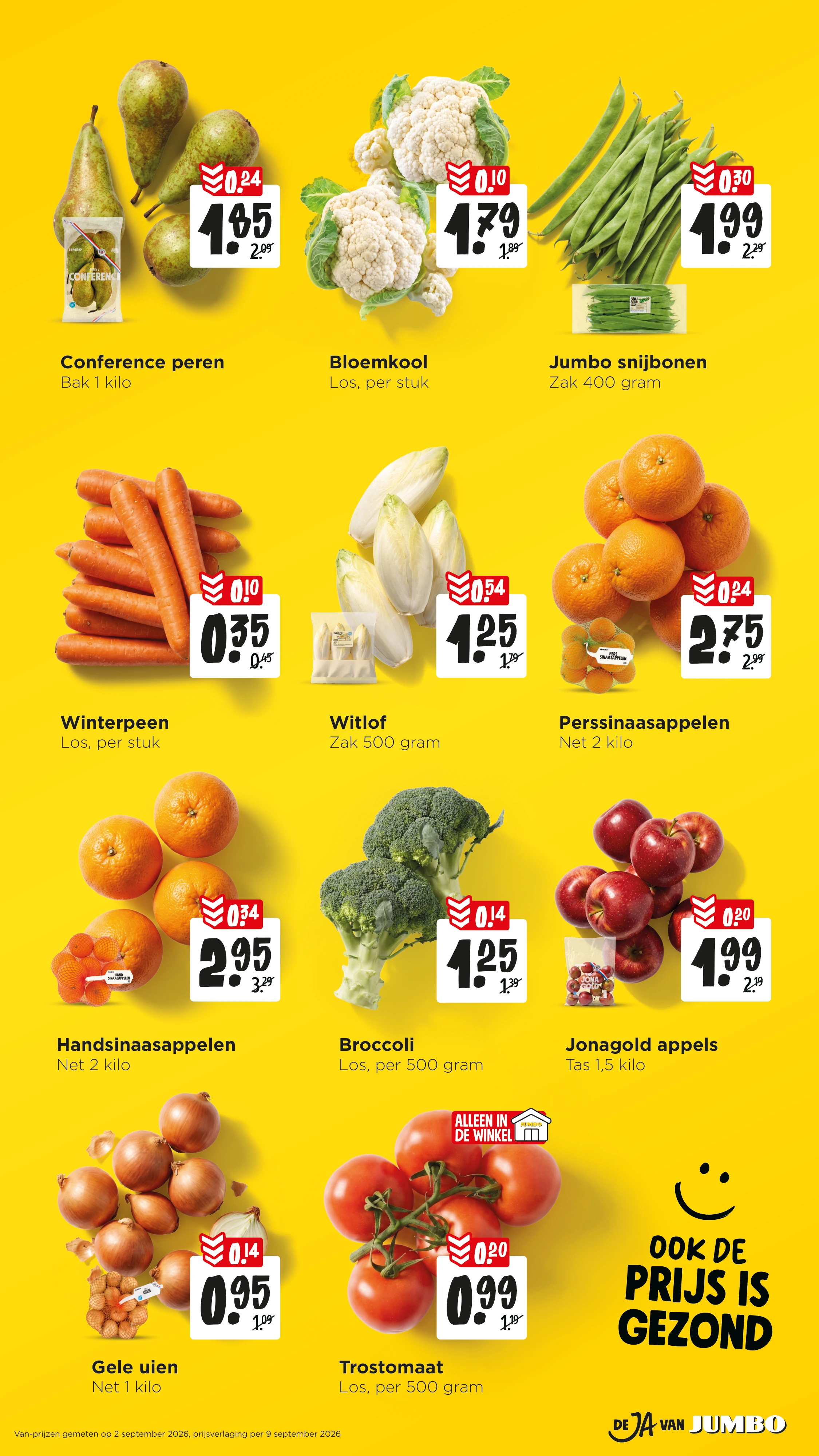 Flyer page 12
