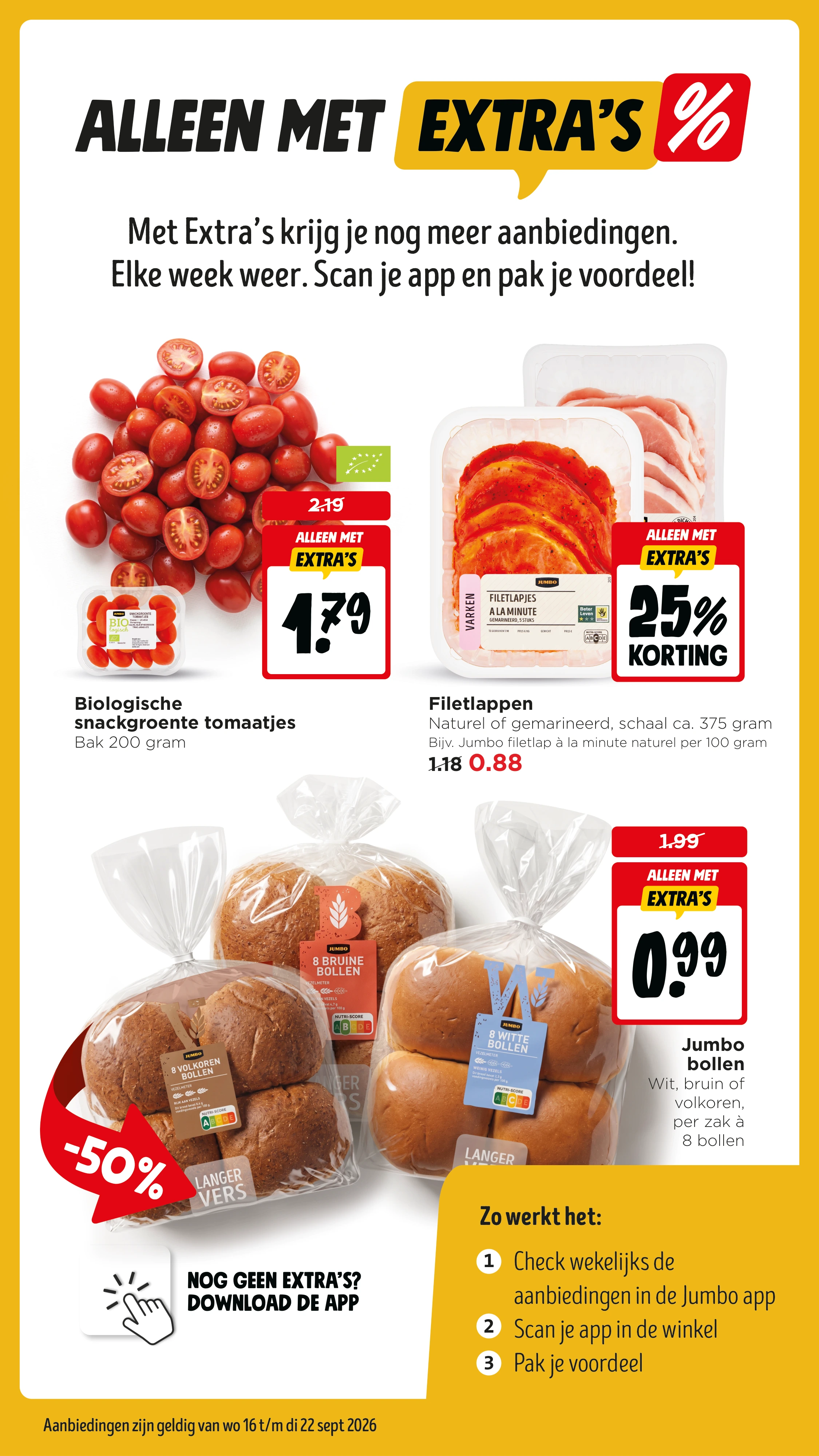 Flyer page 13