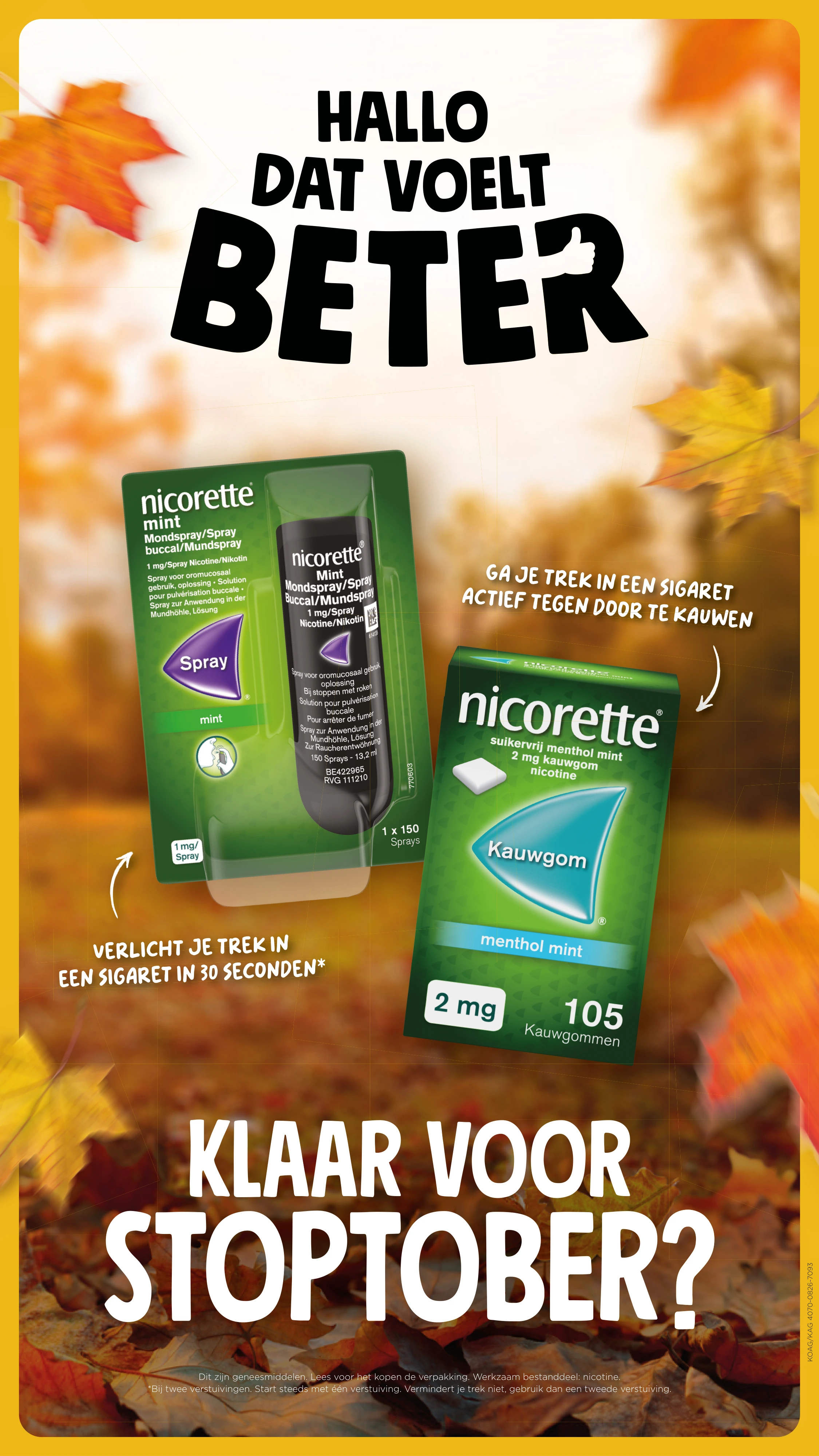 Flyer page 47