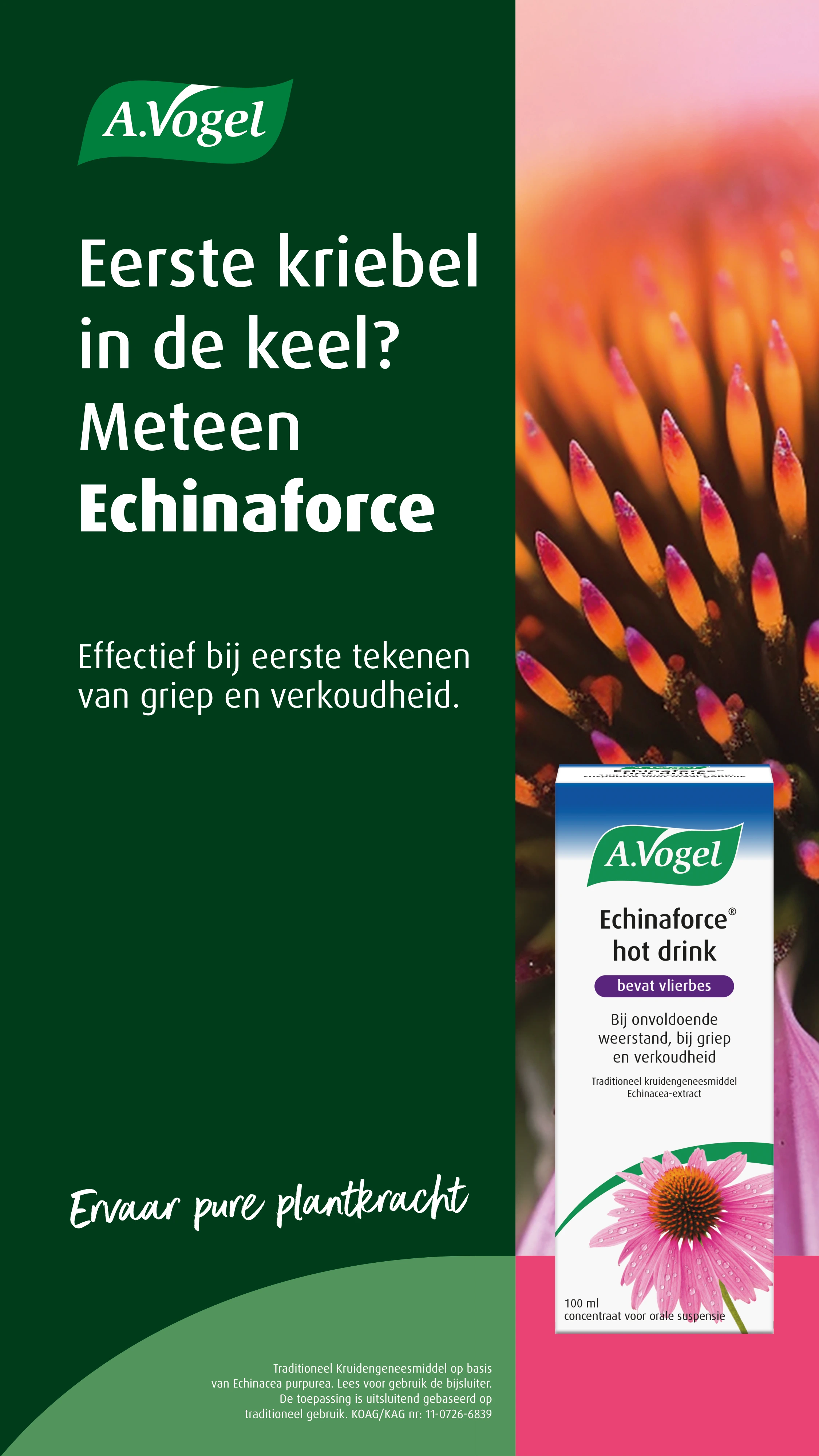 Flyer page 36