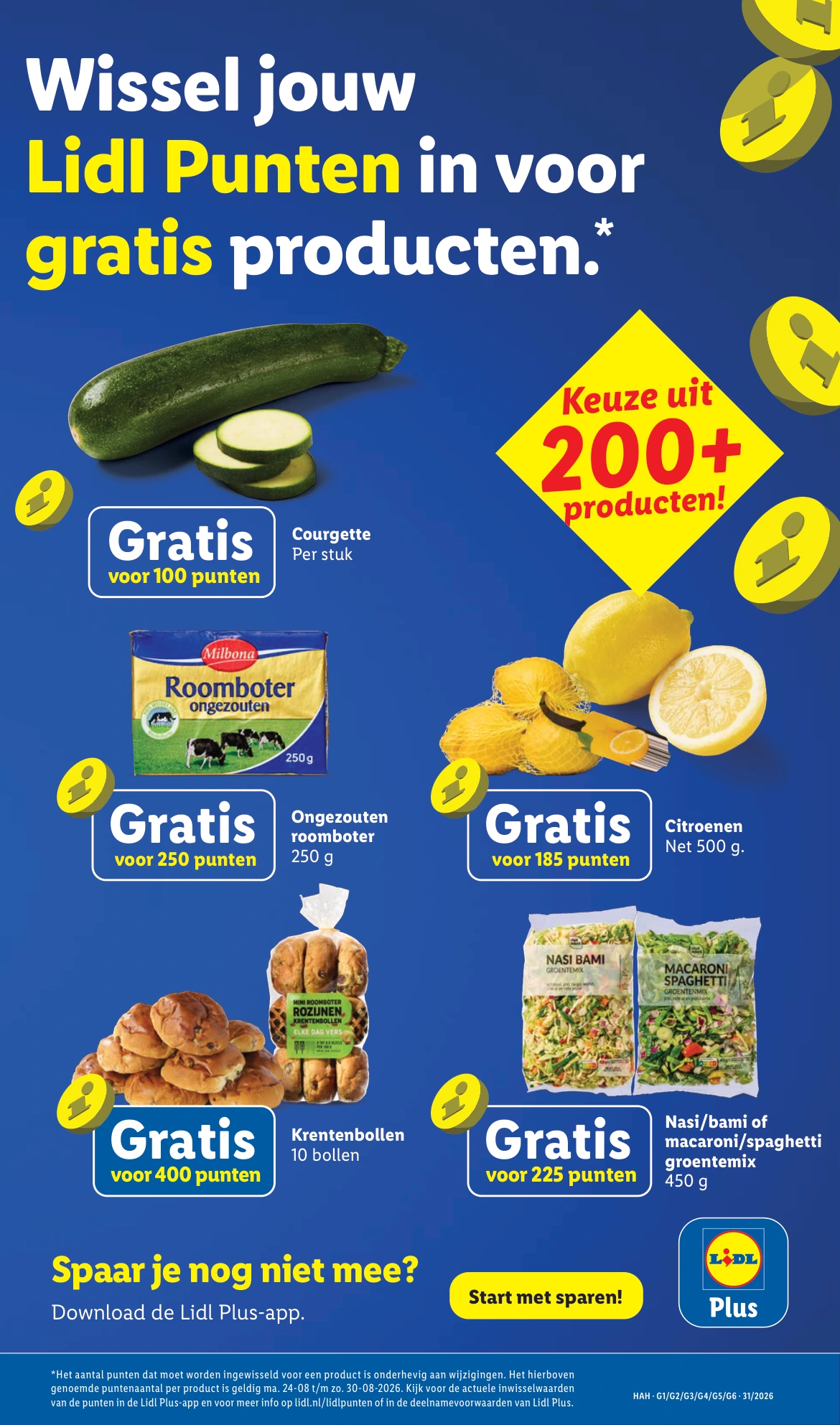 Flyer page 19