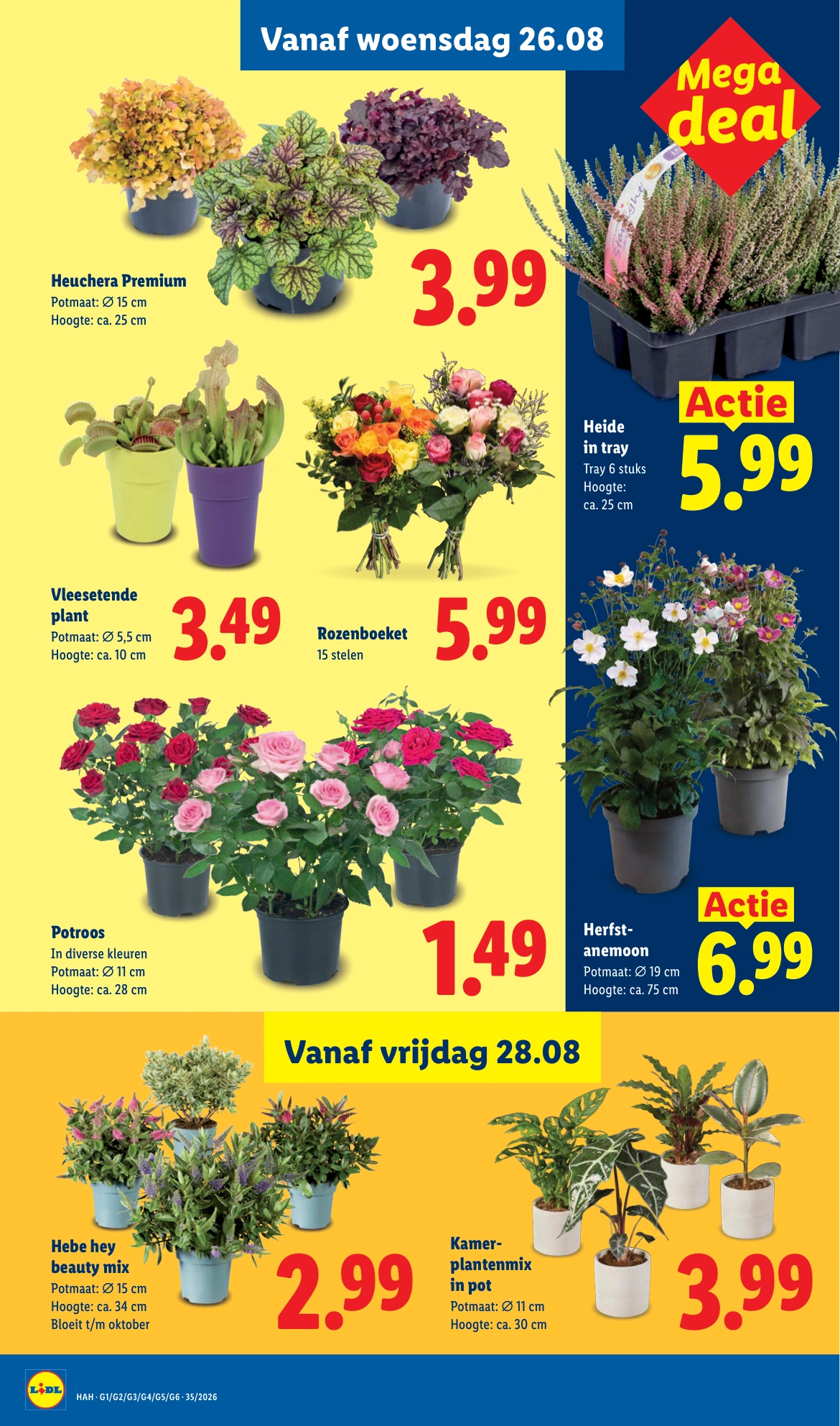 Flyer page 20