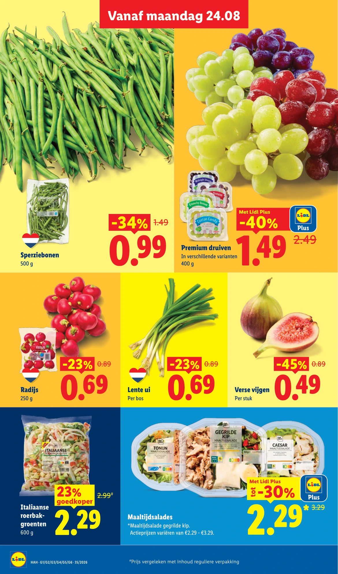 Flyer page 7