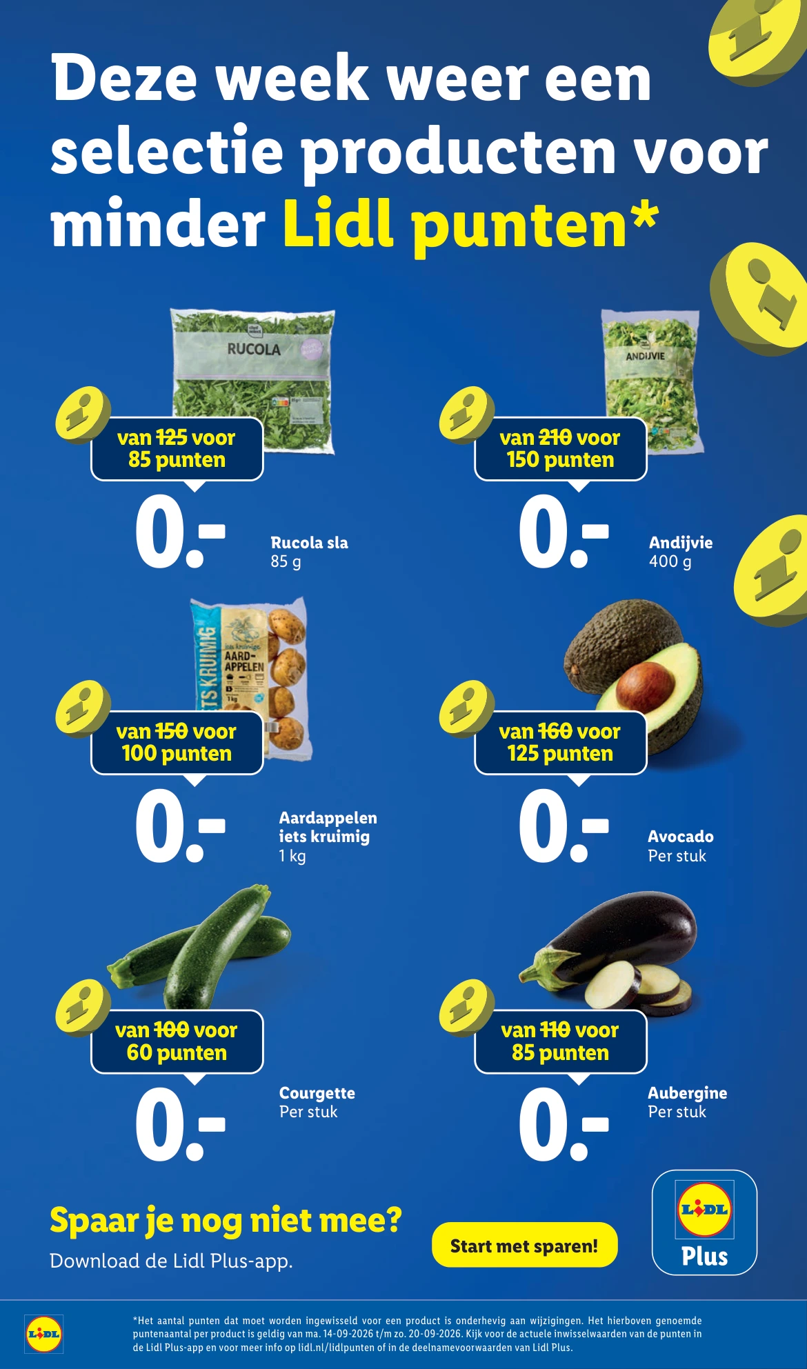 Flyer page 17