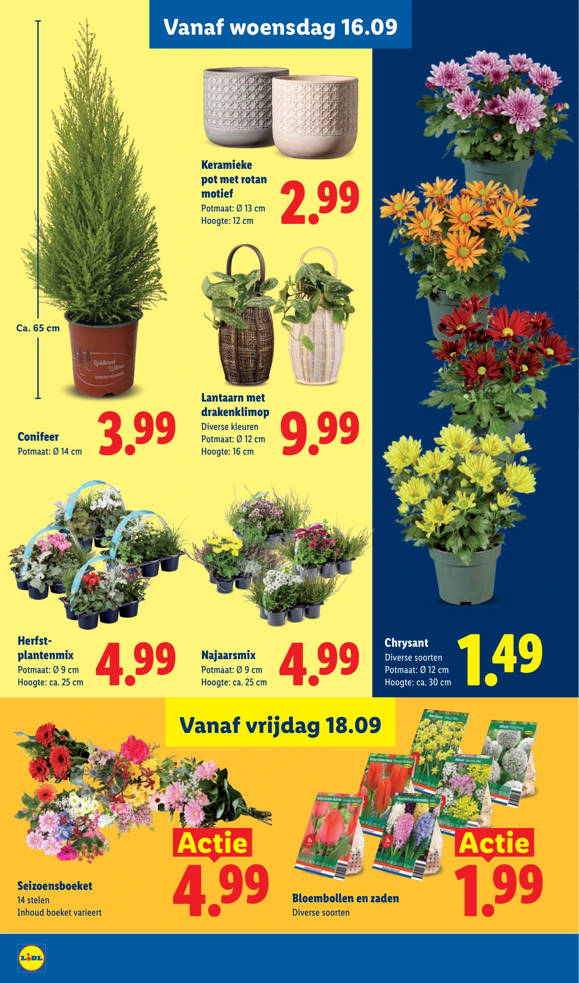 Flyer page 18