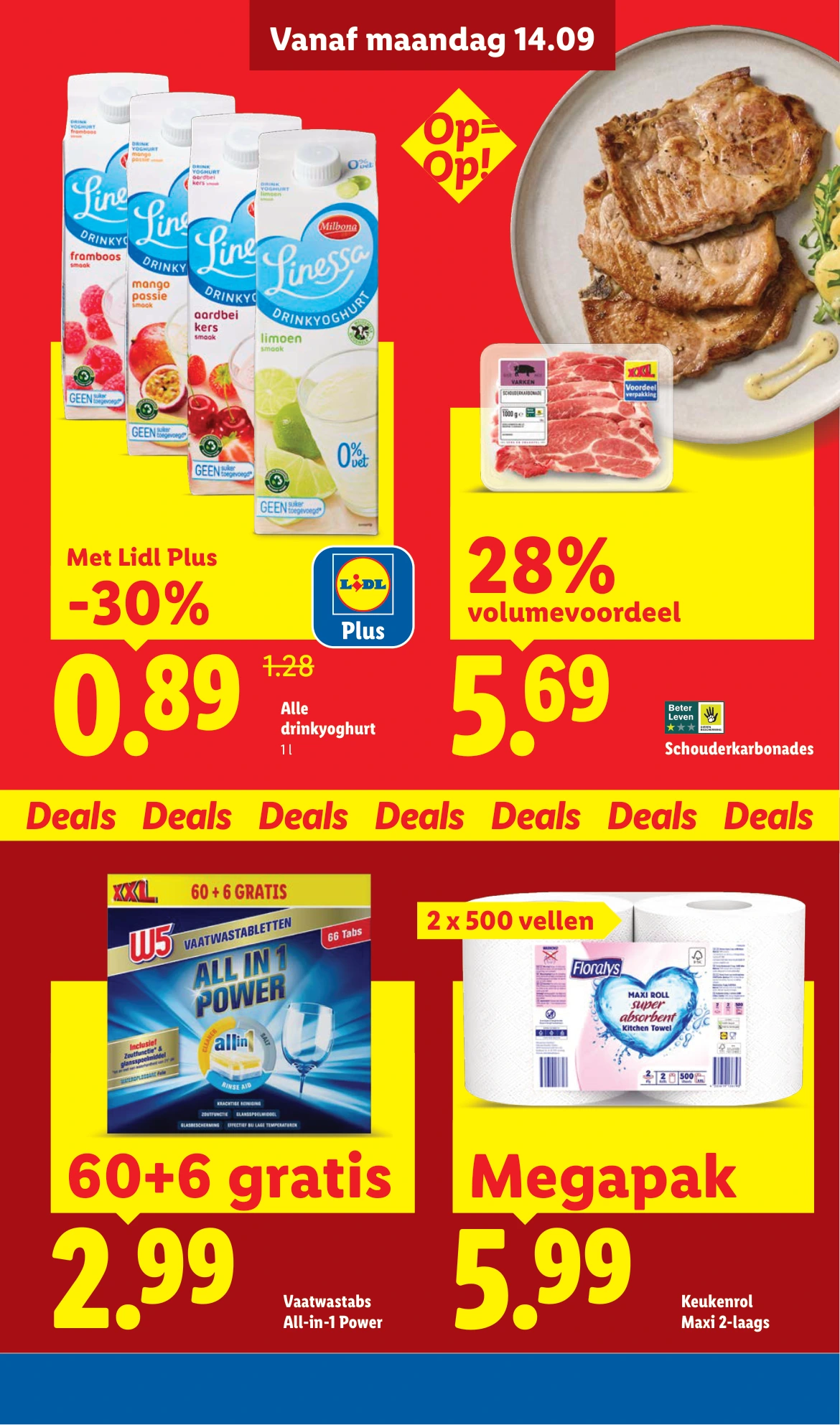 Flyer page 3
