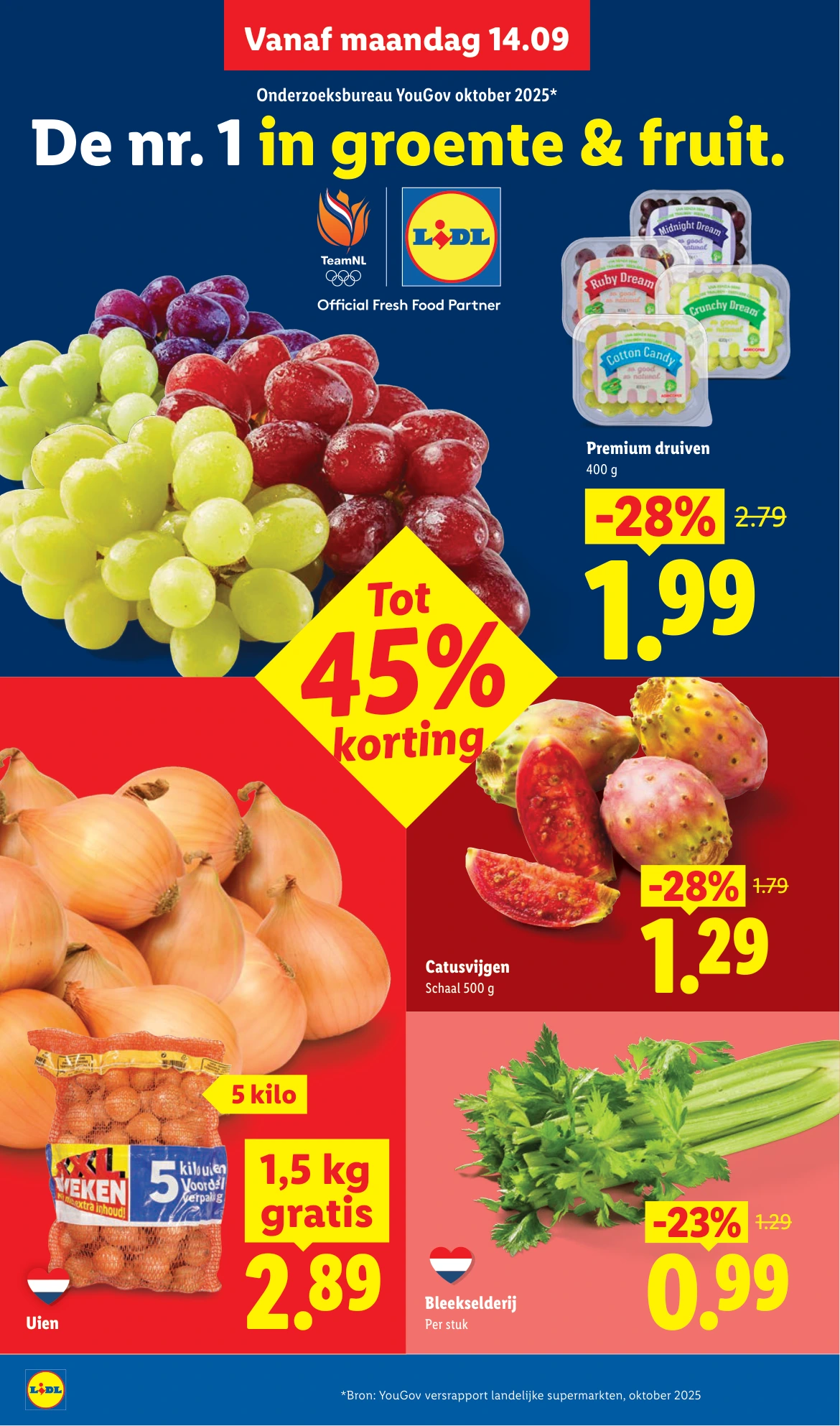 Flyer page 4
