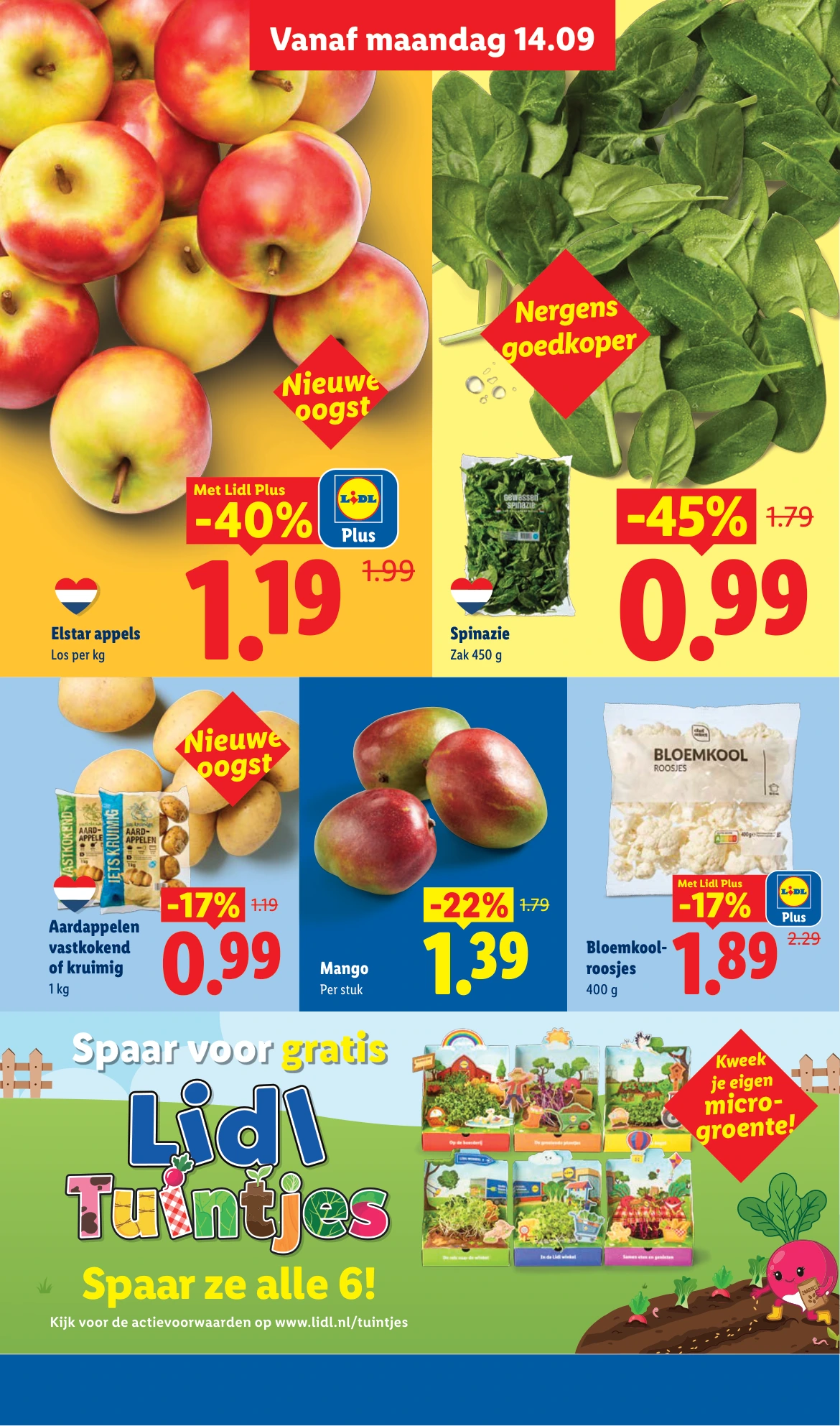 Flyer page 5