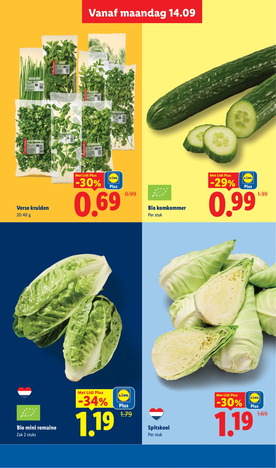 Flyer page 6