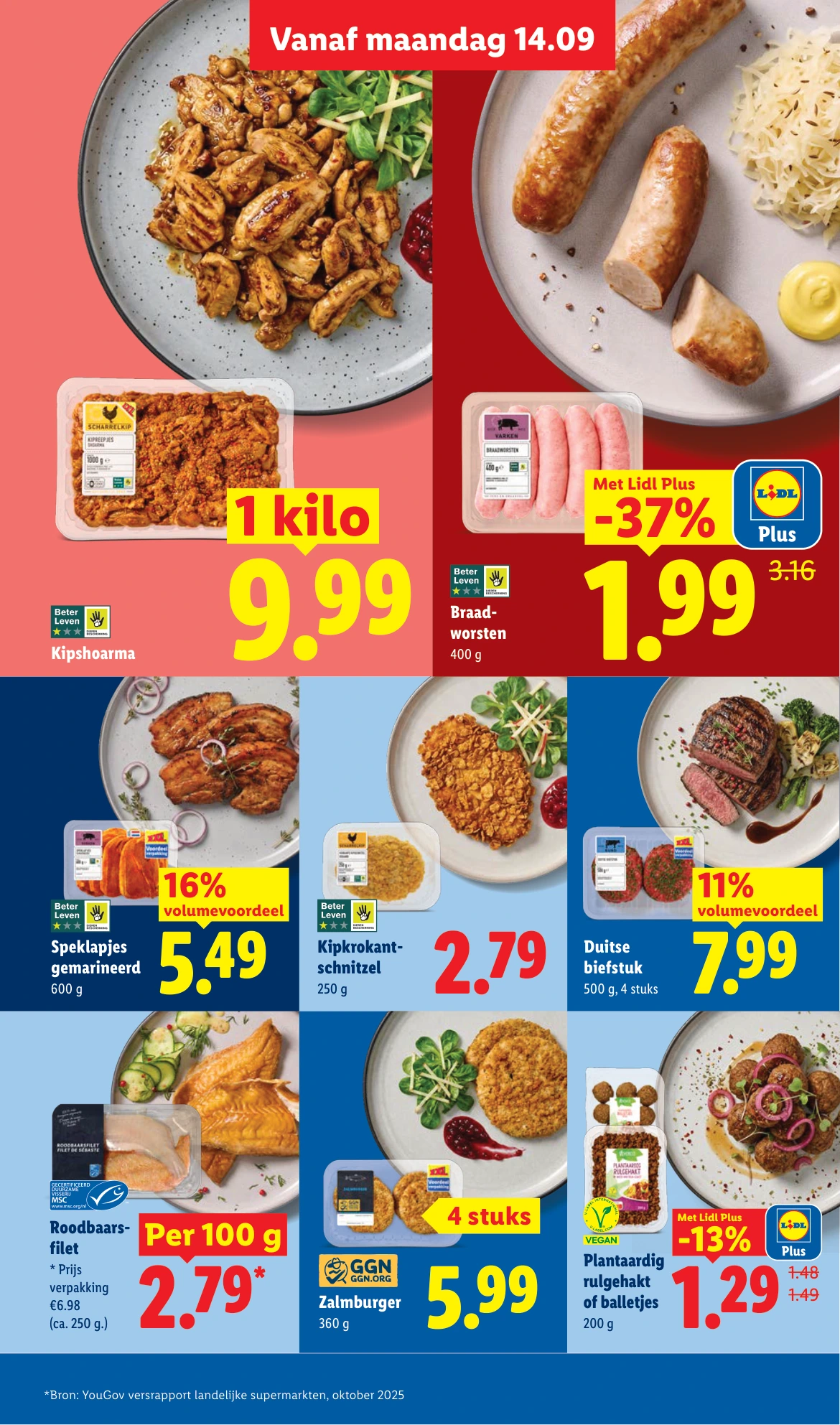Flyer page 8