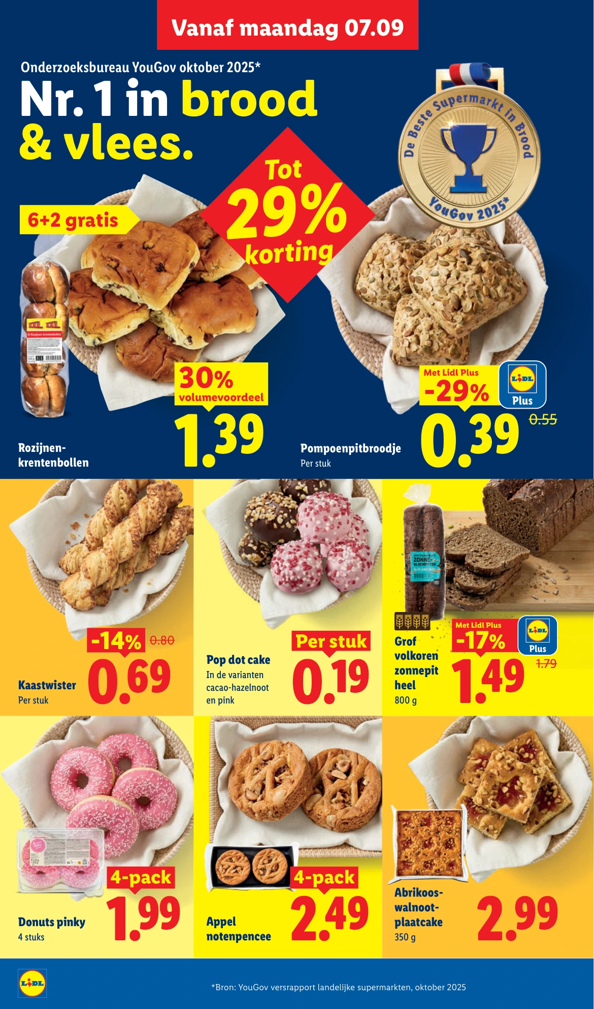 Flyer page 11
